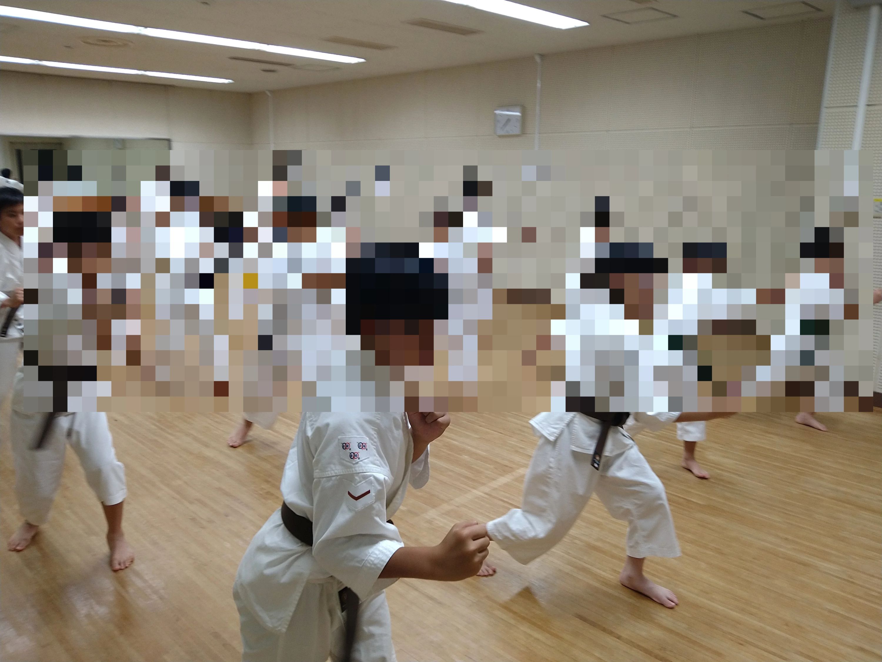 広島毘沙門道院 少林寺拳法 広島市安佐南区民文化センターのサムネイル画像 3