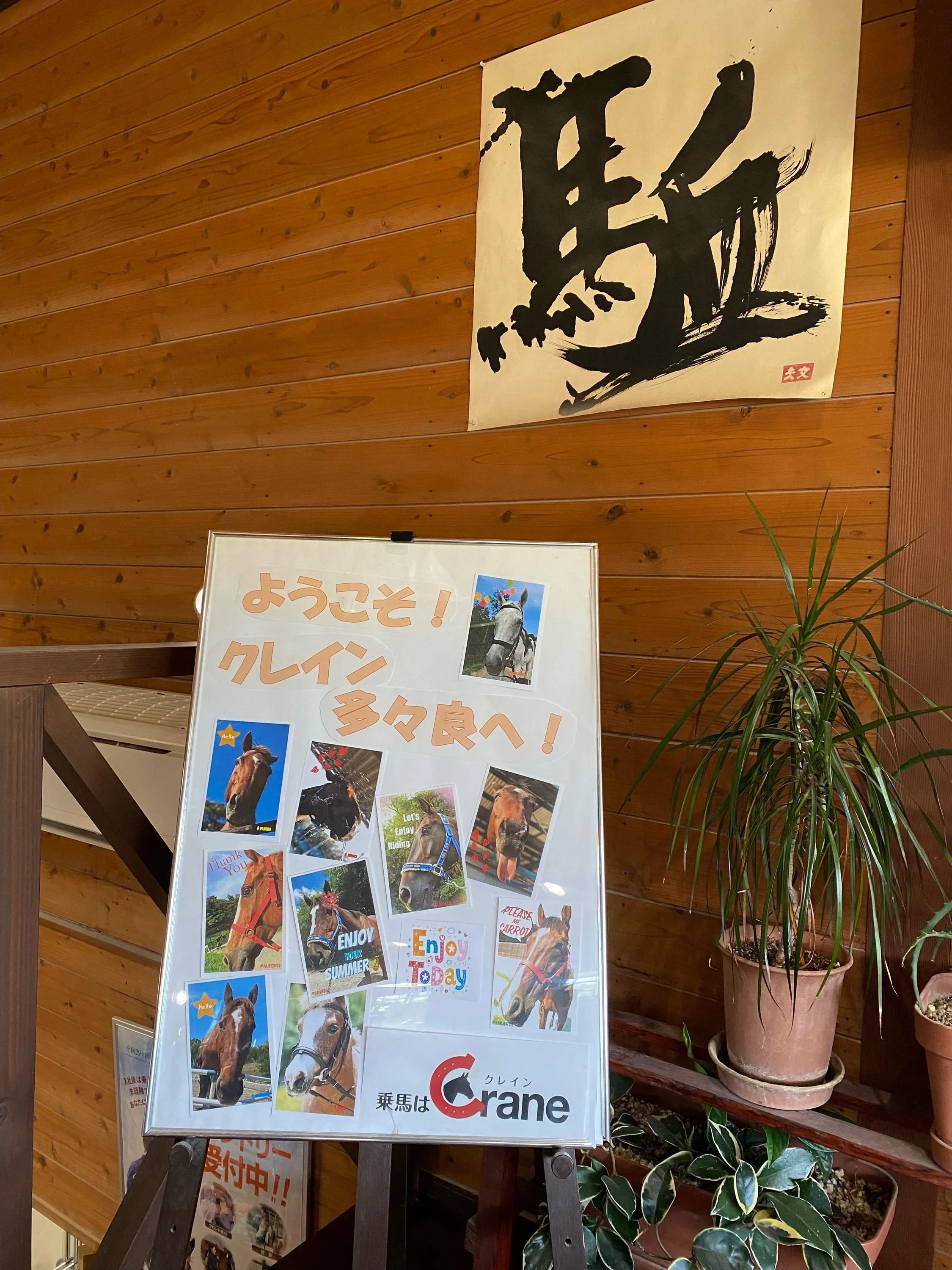乗馬クラブCRANE(クレイン) 乗馬クラブ クレイン多々良のサムネイル画像 5