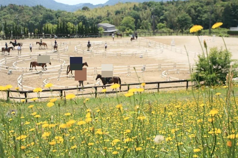 乗馬クラブCRANE(クレイン) 乗馬クラブ クレイン多々良のメイン画像