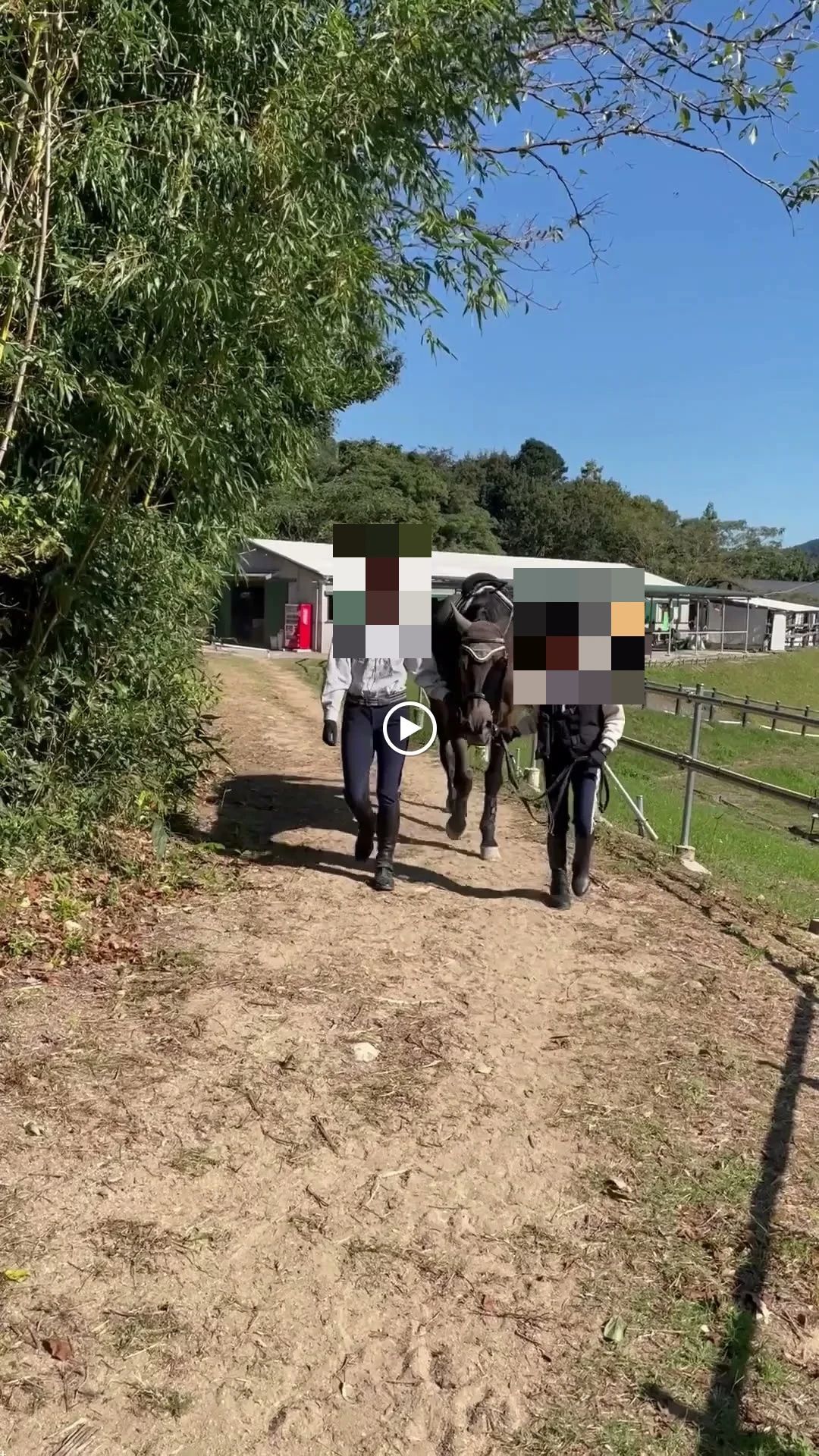 乗馬クラブCRANE(クレイン) 乗馬クラブ クレイン多々良のサムネイル画像 3