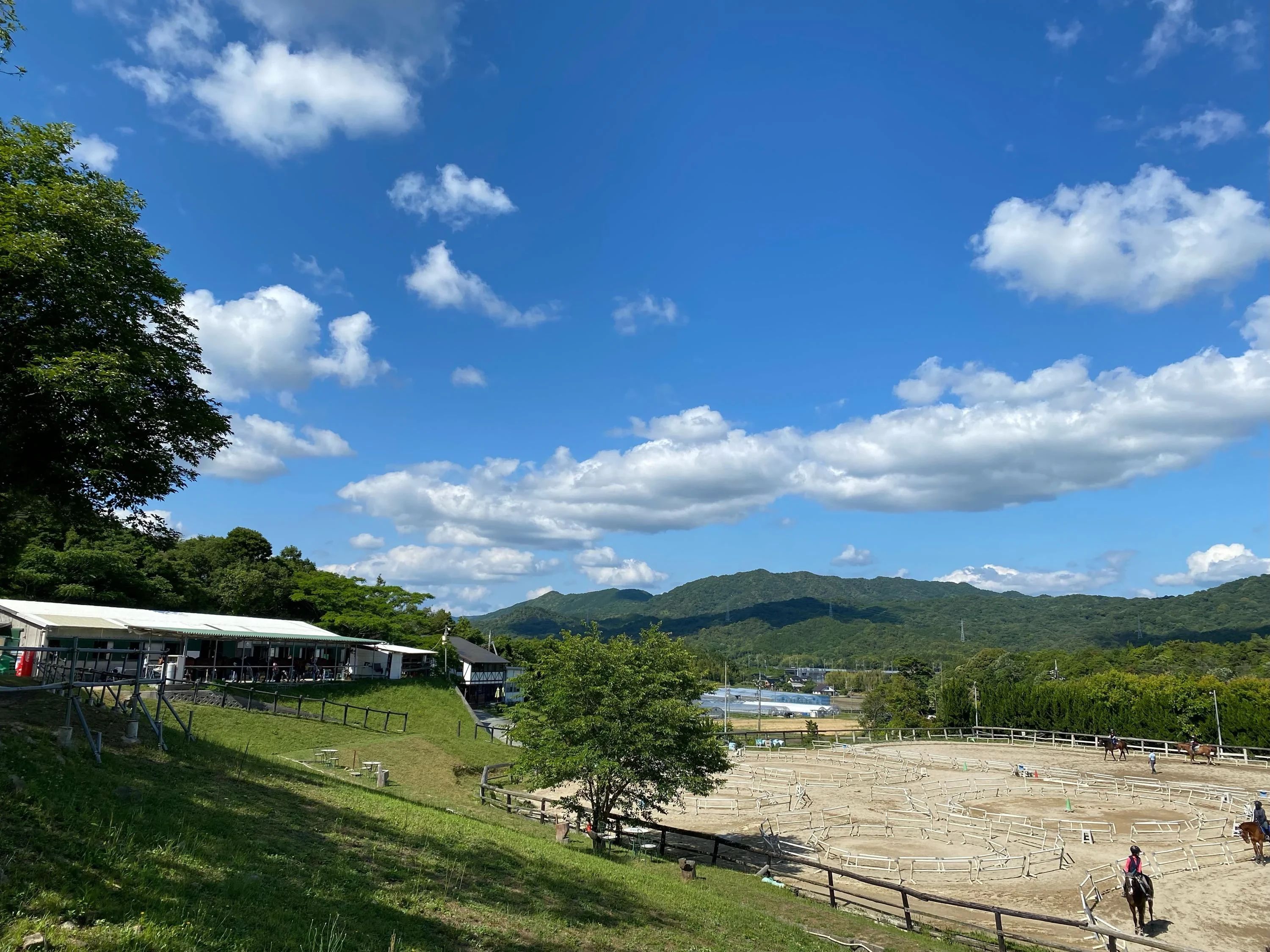 乗馬クラブCRANE(クレイン) 乗馬クラブ クレイン多々良のサムネイル画像 4