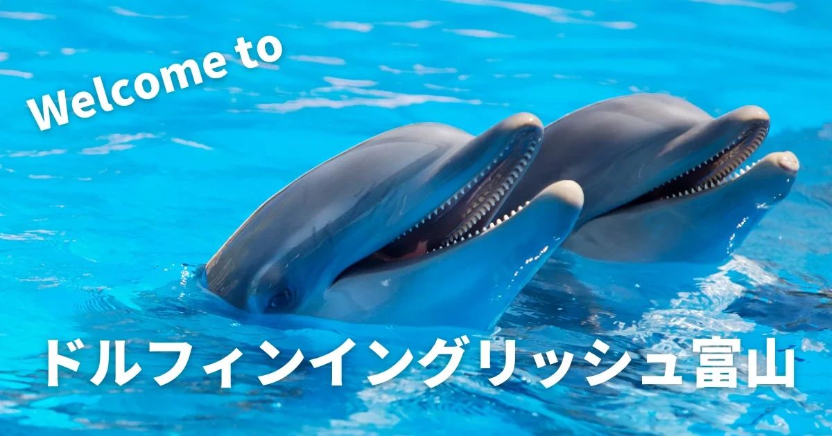 ドルフィンイングリッシュ 富山のサムネイル画像 2