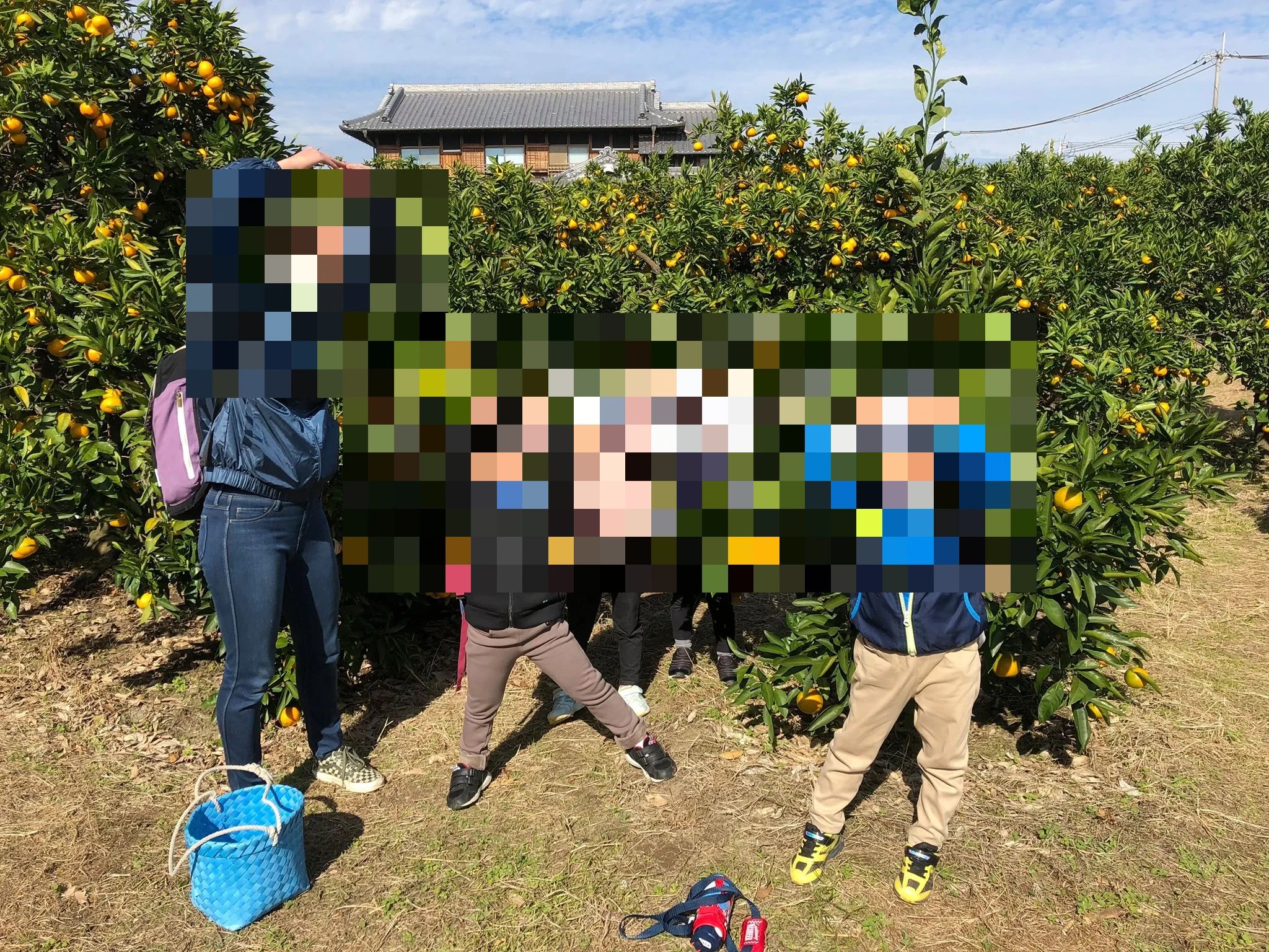 Blue Dolphins(ブルードルフィンズ) 英語・英会話 高槻校のサムネイル画像 5