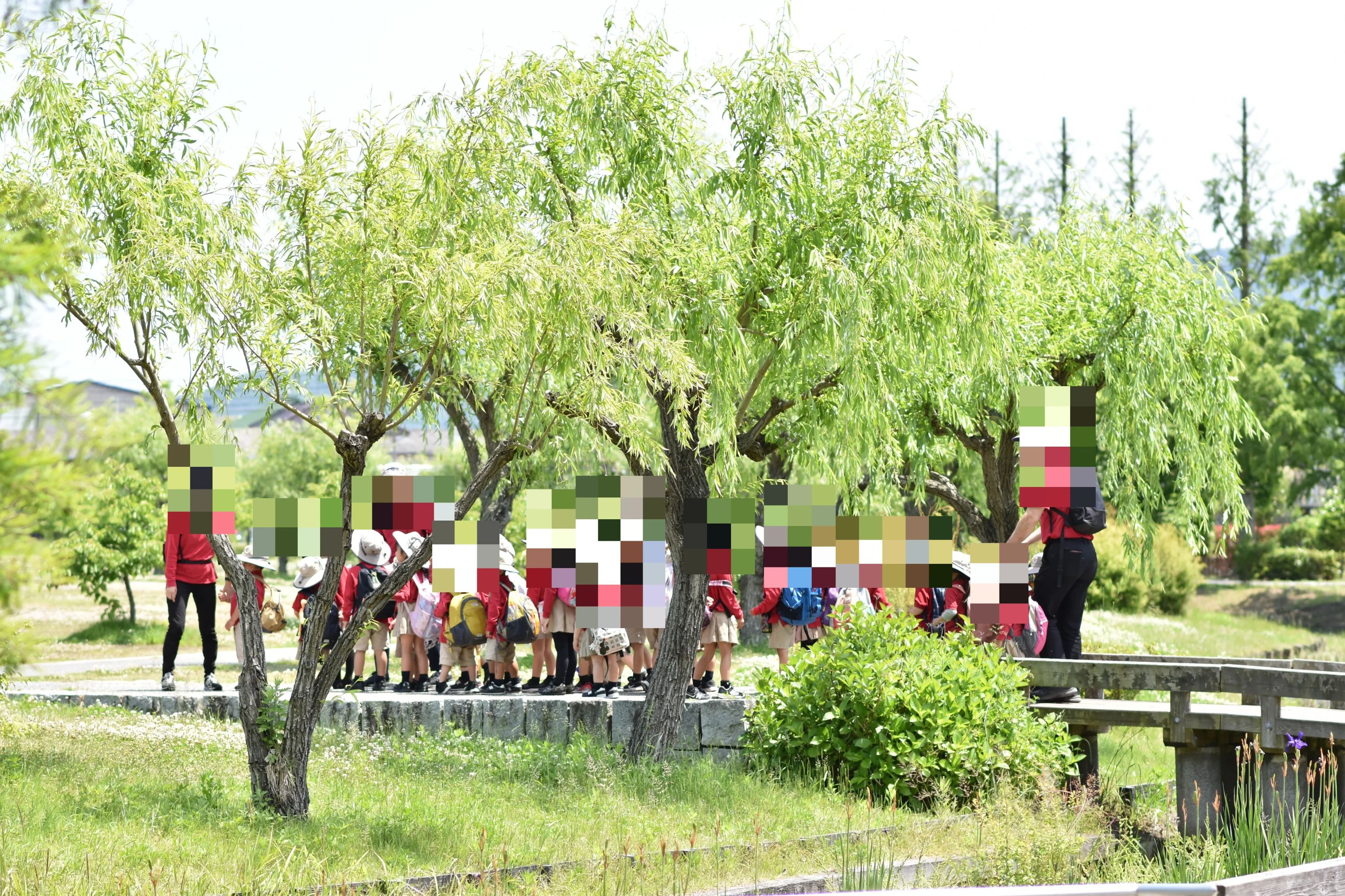 Edison International School(エジソンインターナショナルスクール) 英語・英会話 平和町教室のサムネイル画像 2