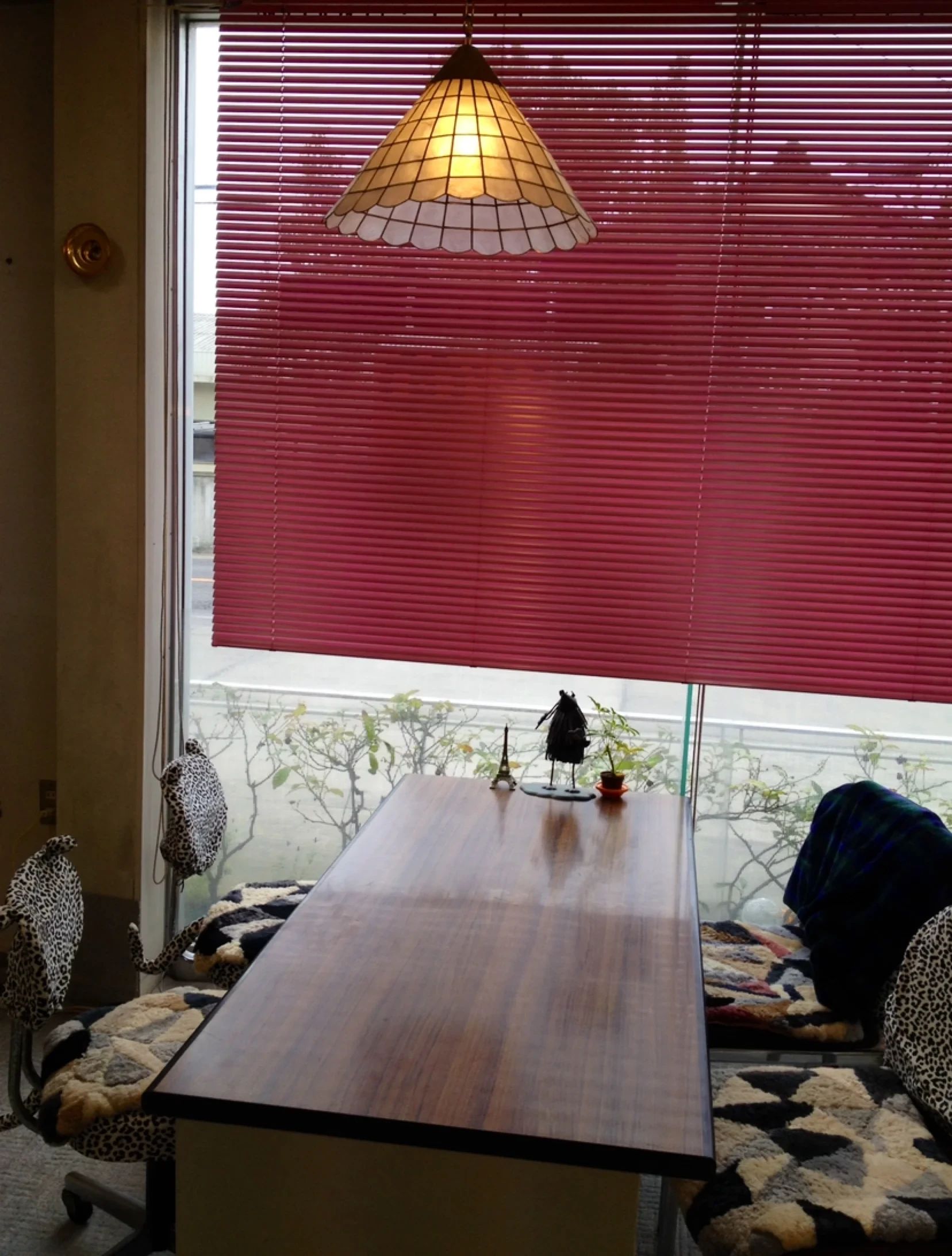 CMS(チャーミング マルチリンガル スクール) 英語・英会話 出作町教室のメイン画像