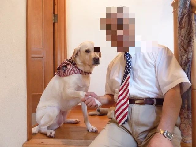 LITTLE AMERICA(リトルアメリカ) 英語・英会話 小笹本校のサムネイル画像 2