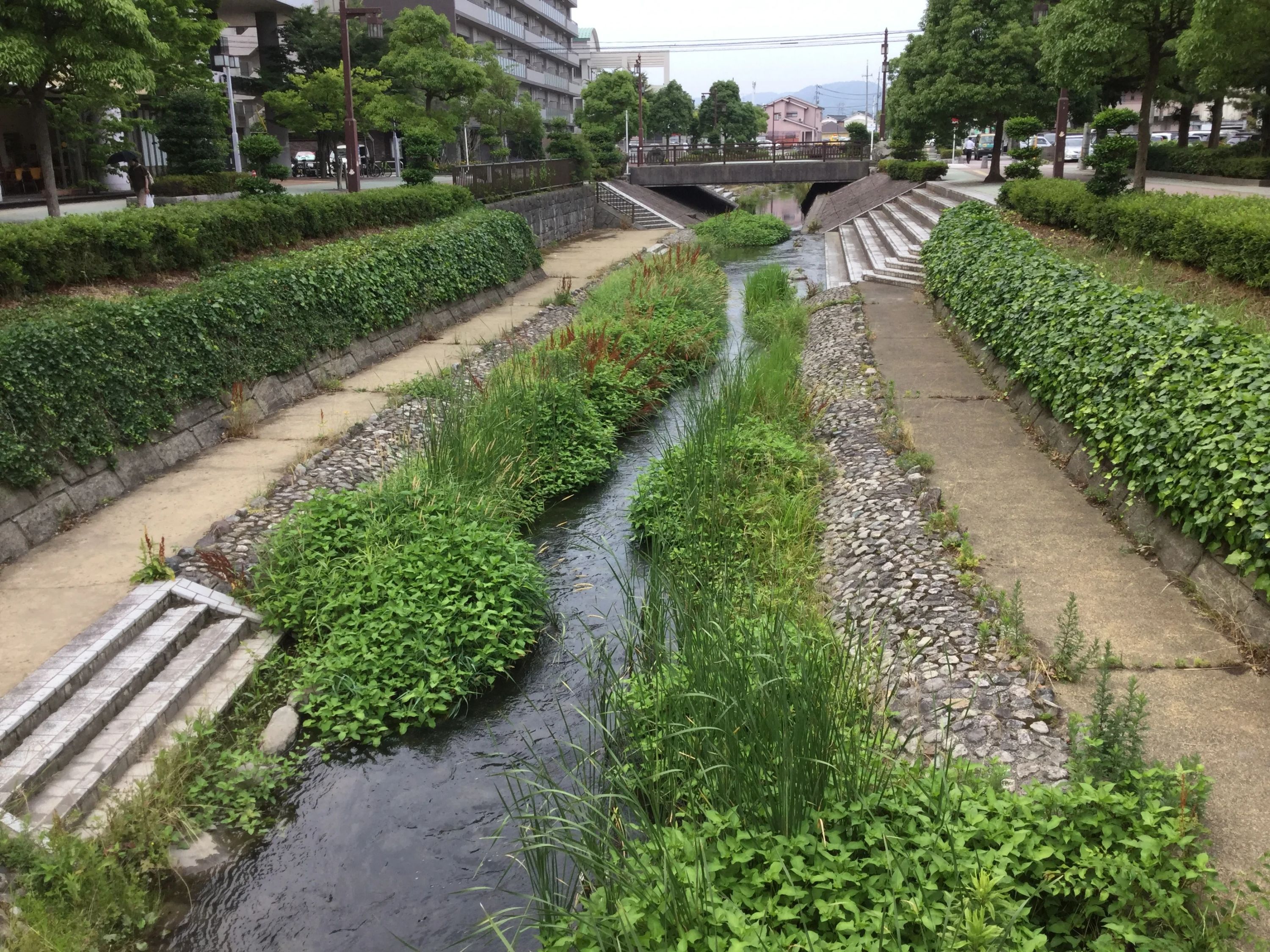 STEP WORLD(ステップワールド) 英語・英会話 宮古島教室のサムネイル画像 2