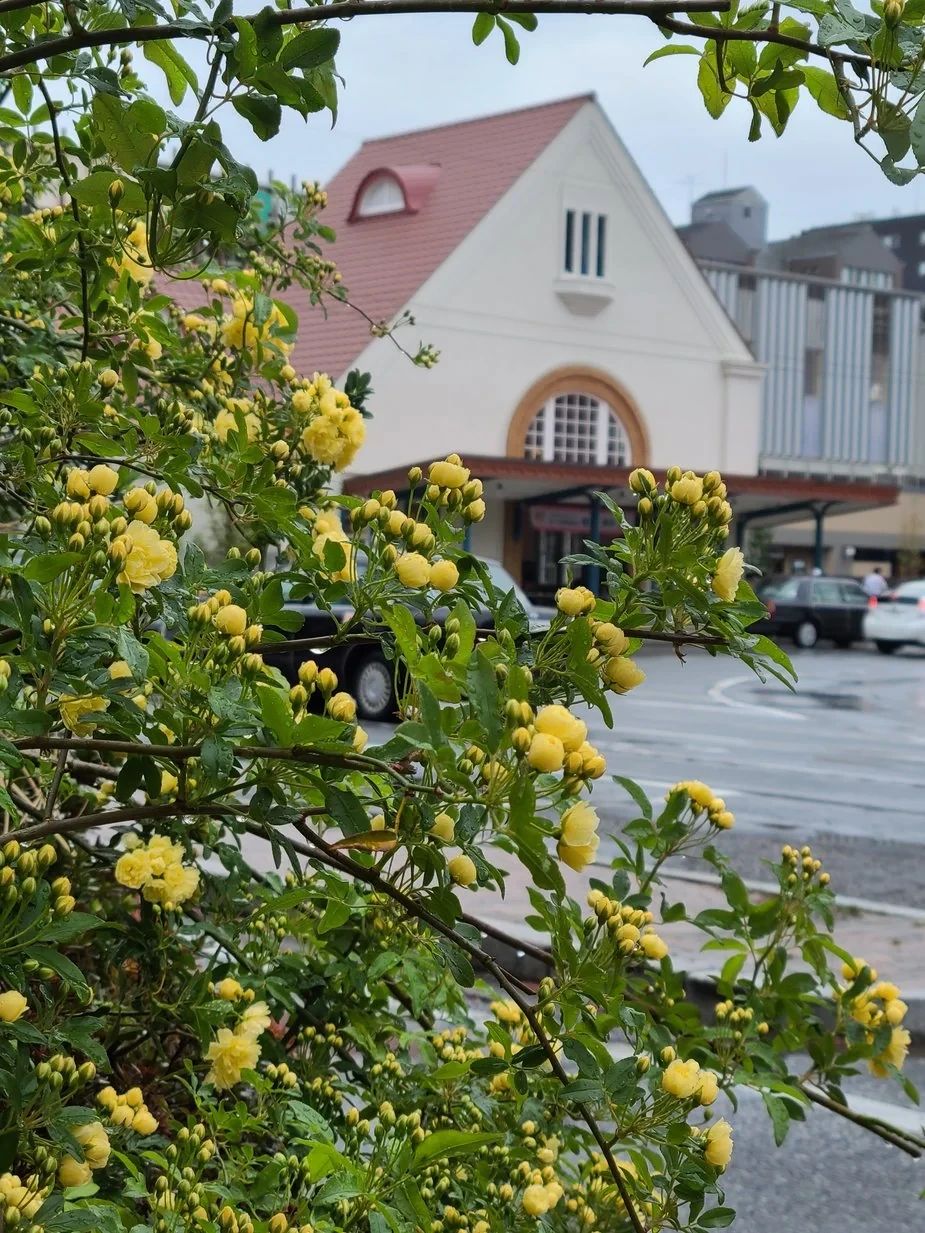 ファインズグループ 国立スクールのサムネイル画像 4