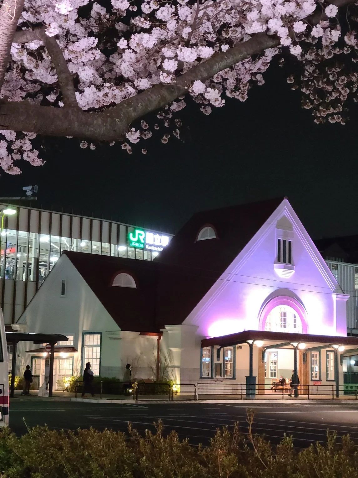 ファインズグループ 国立スクールのサムネイル画像 5