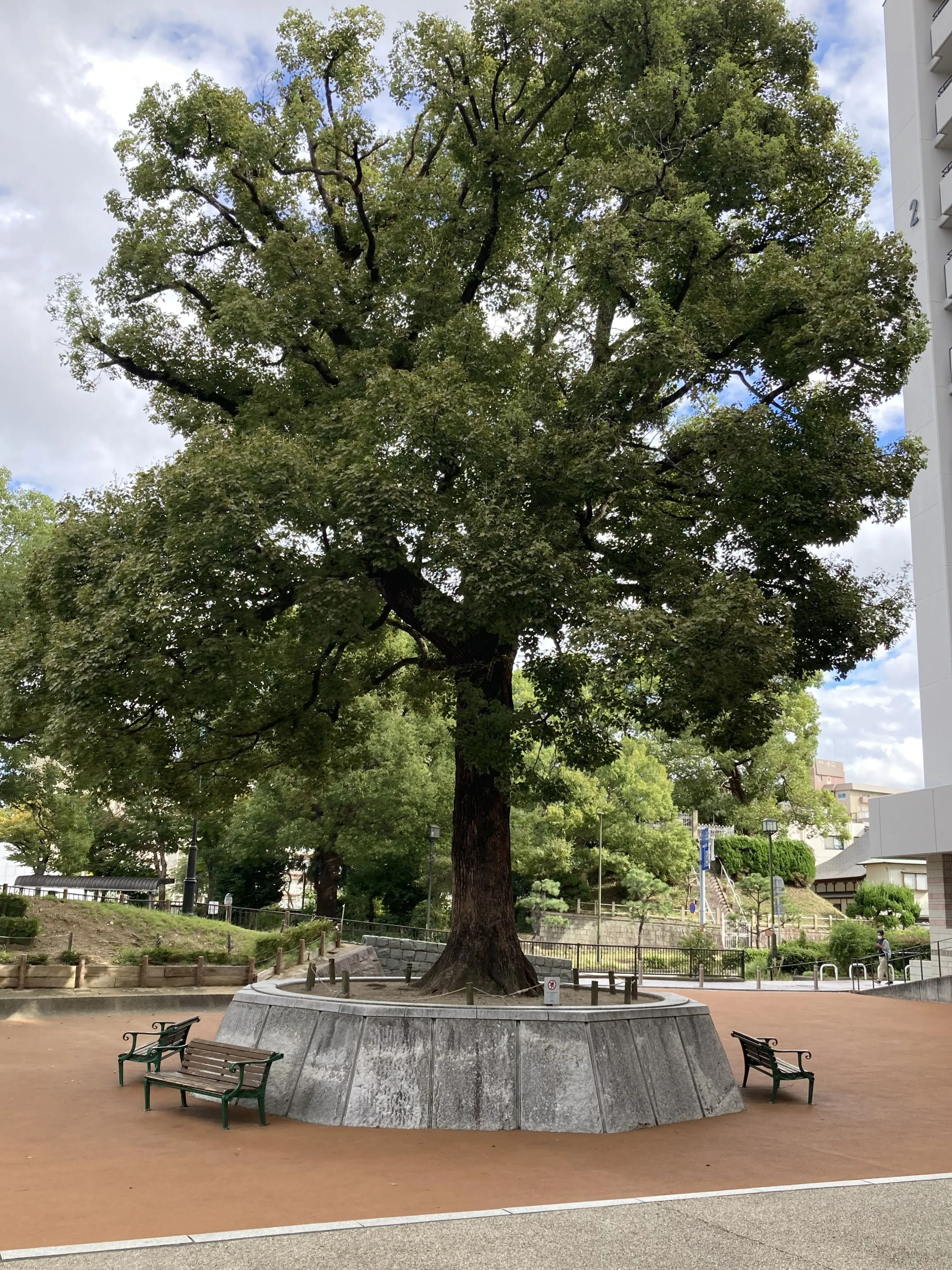 いまだてそろばん☆あんざんスクール 有岡教室のサムネイル画像 2