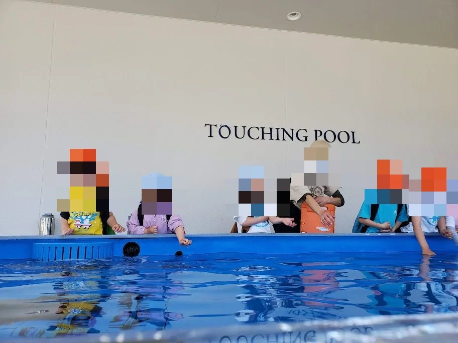 そろタッチ 西宮インターナショナルスクールのサムネイル画像 4