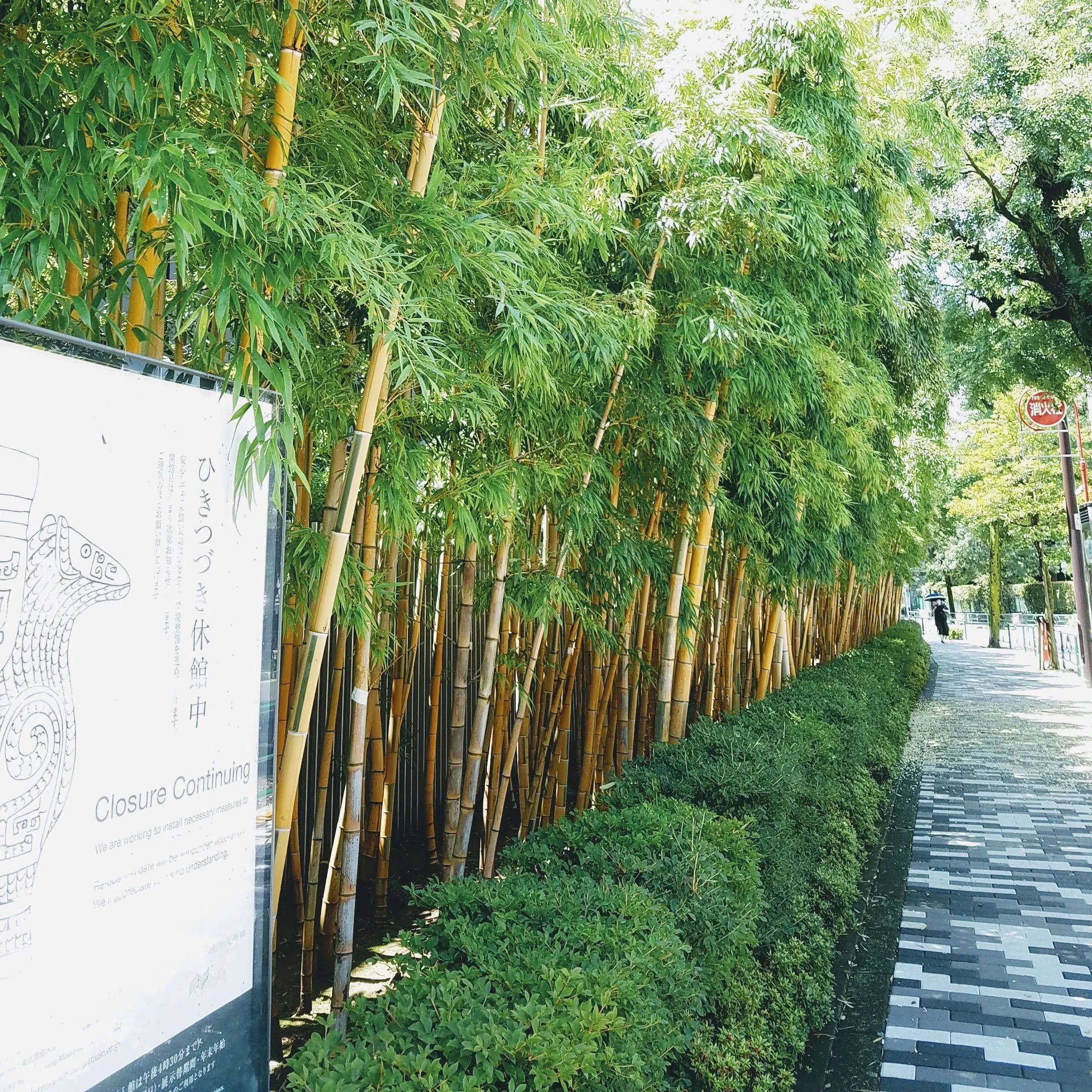 童観書道教室 南青山教室のメイン画像