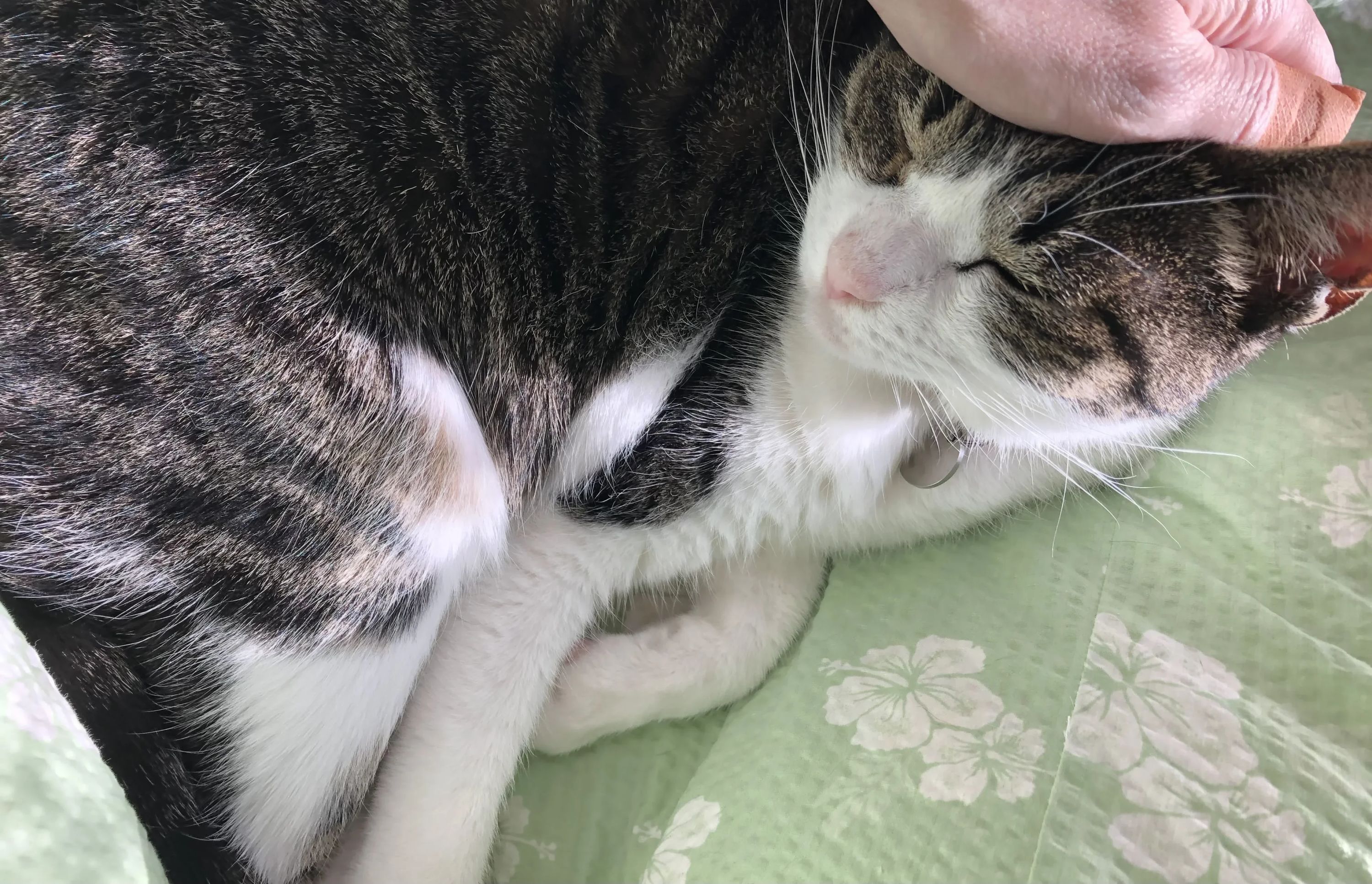 桃李硬筆塾 習字・書道 氷川教室のサムネイル画像 2