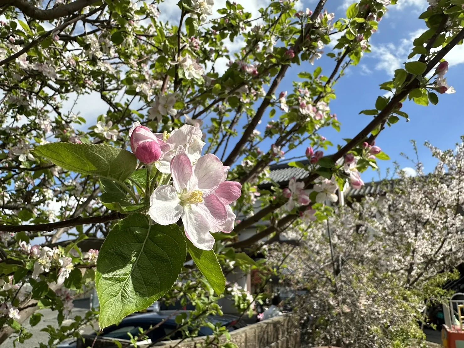 ぶっこう幼稚園 習字・書道 箕輪教室のサムネイル画像 2