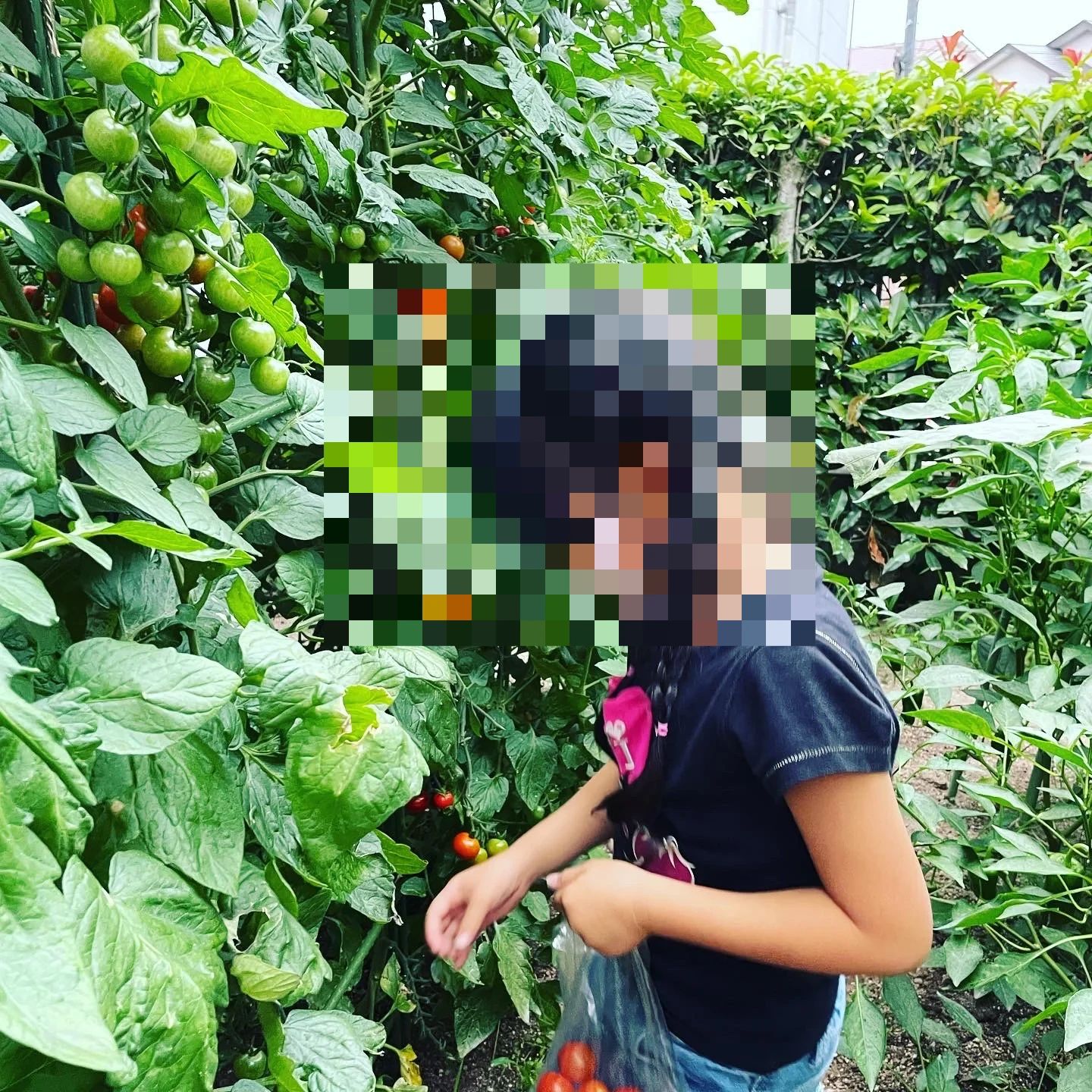 西日本新聞TNC文化サークル 習字・書道 春日・スクール・オブ・アーツのサムネイル画像 4