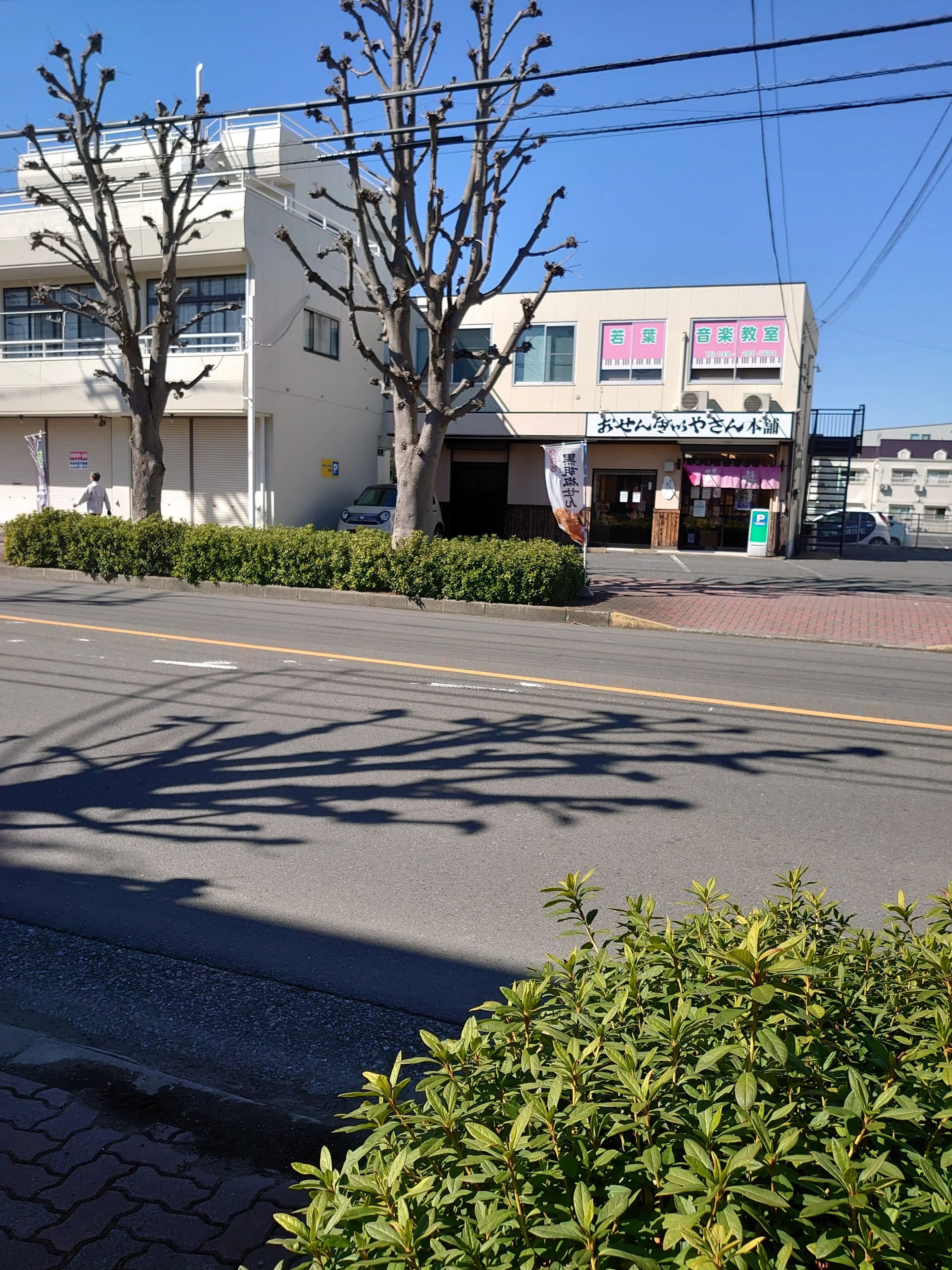 若葉音楽教室[埼玉県] ピアノ 富士見教室のメイン画像