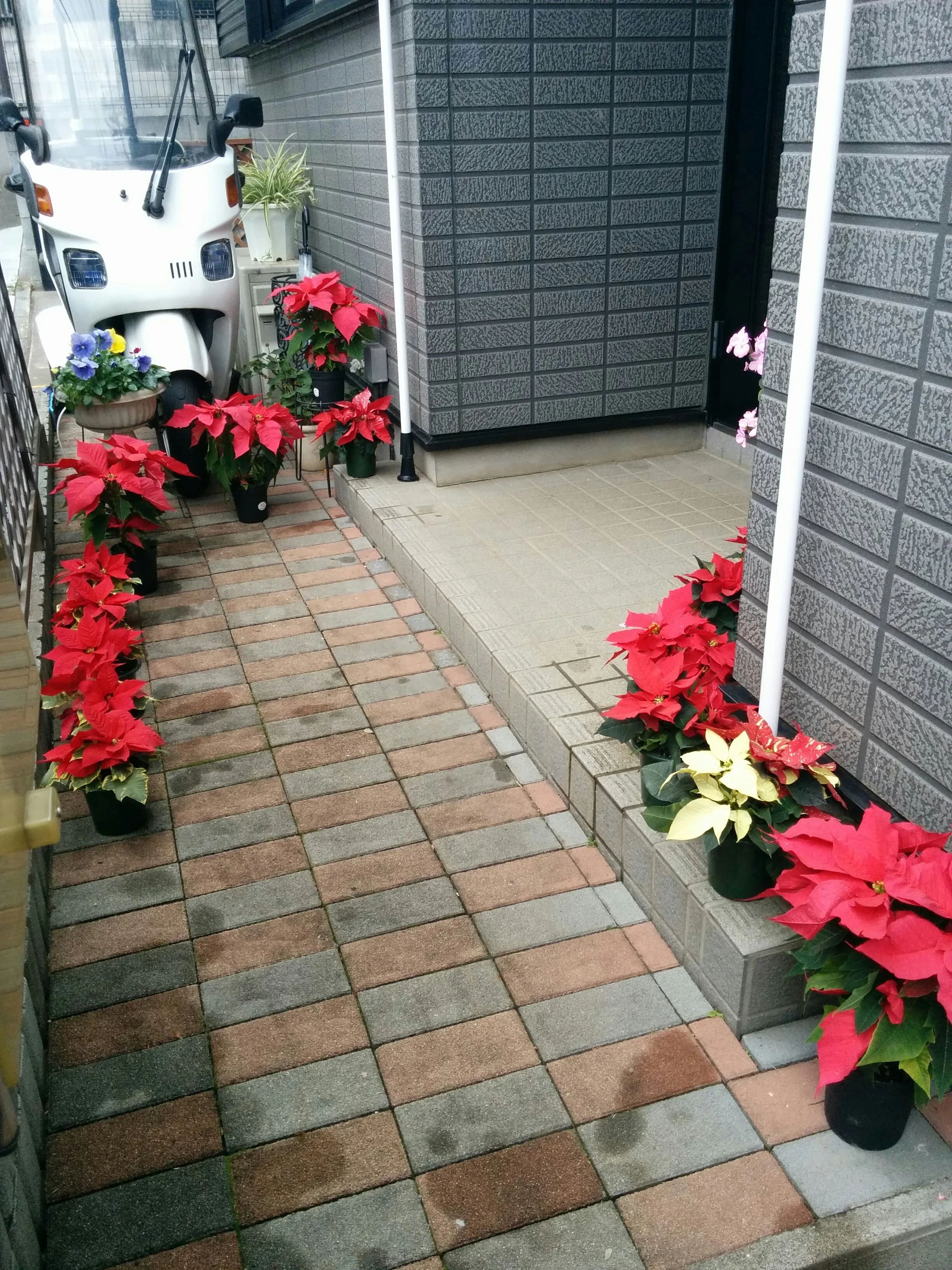 林ピアノ教室 小手指南教室のサムネイル画像 2