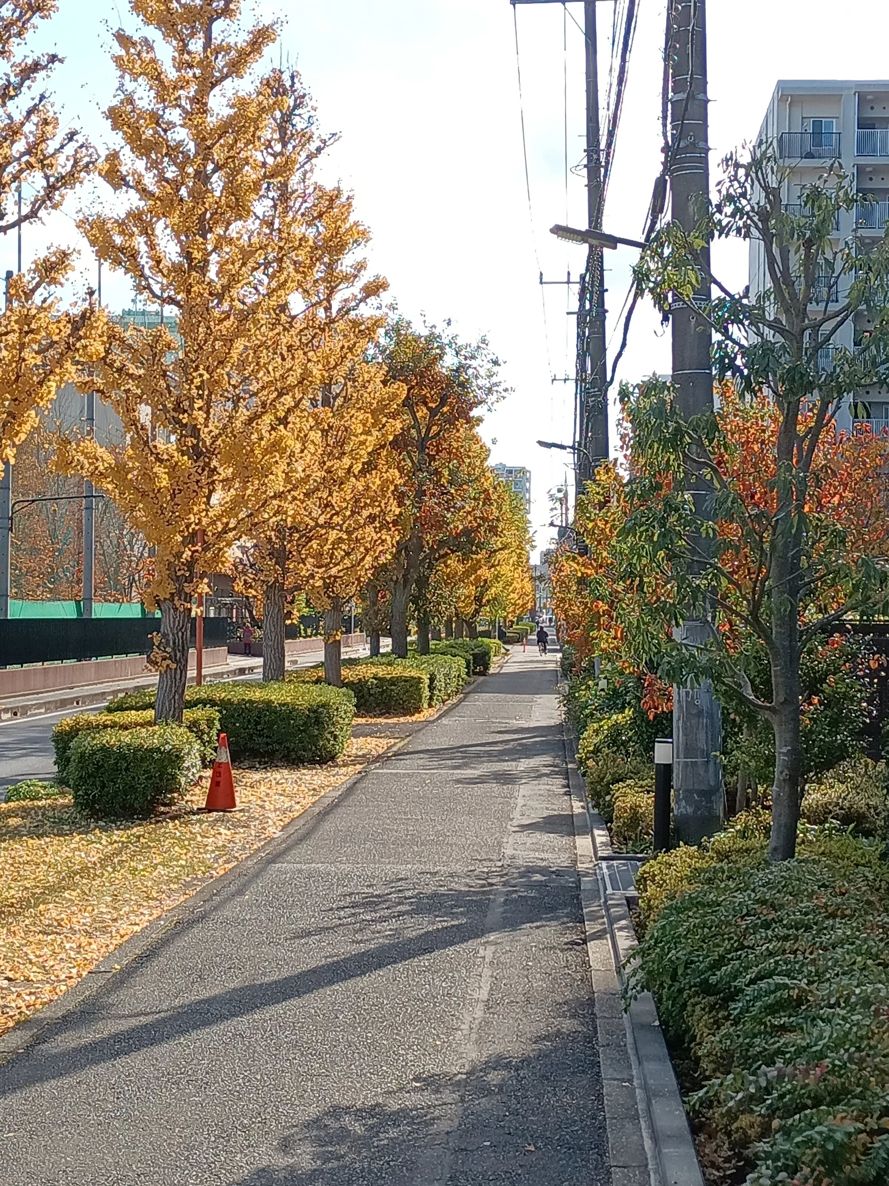 まつばら音楽教室 ピアノ 松原教室のサムネイル画像 2