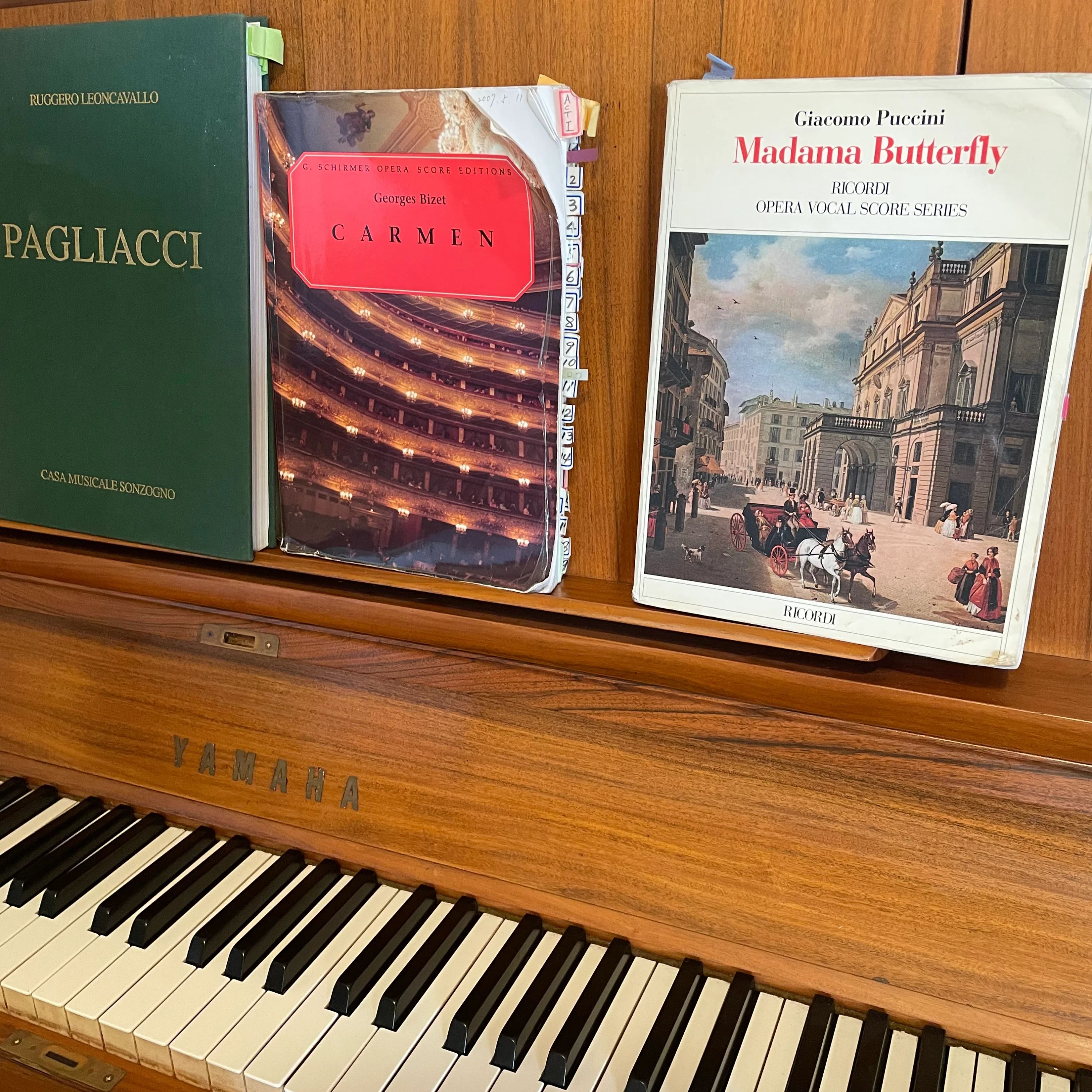 リリアーレ音楽教室 ピアノ 東菅野教室のサムネイル画像 3