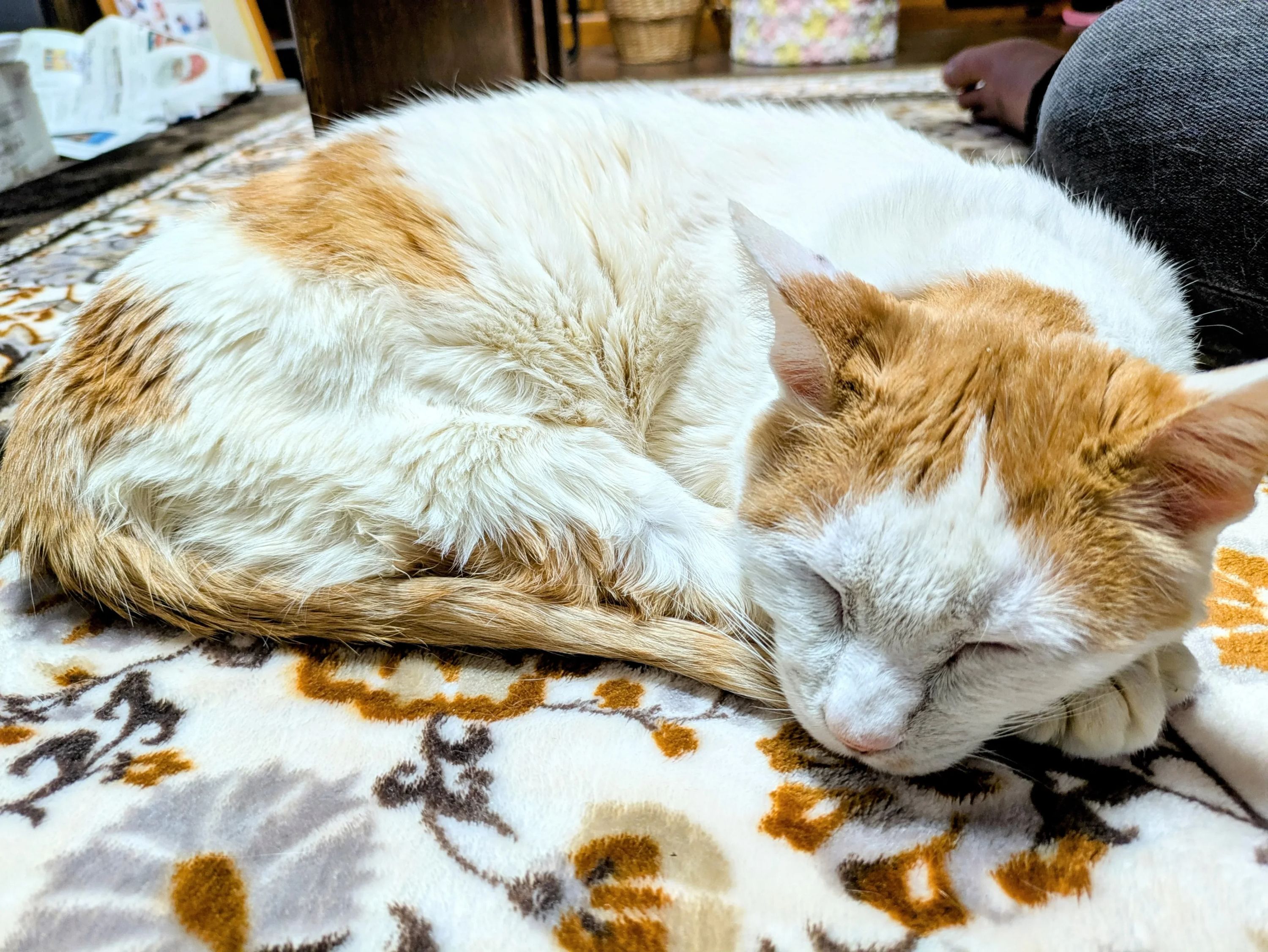 今村ピアノ教室 千代野西教室のメイン画像