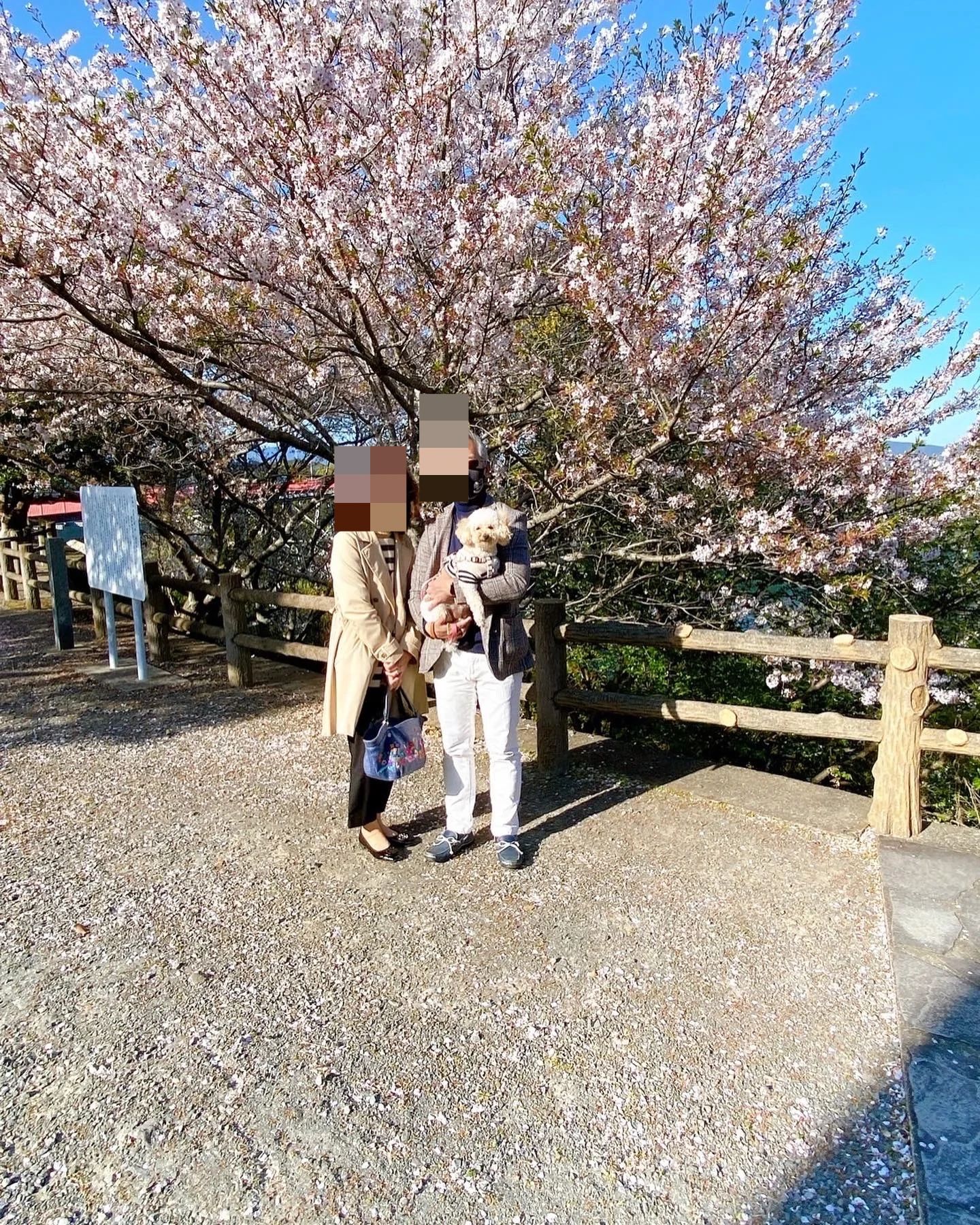 RMS音楽院 ピアノ 祇園町教室のサムネイル画像 4