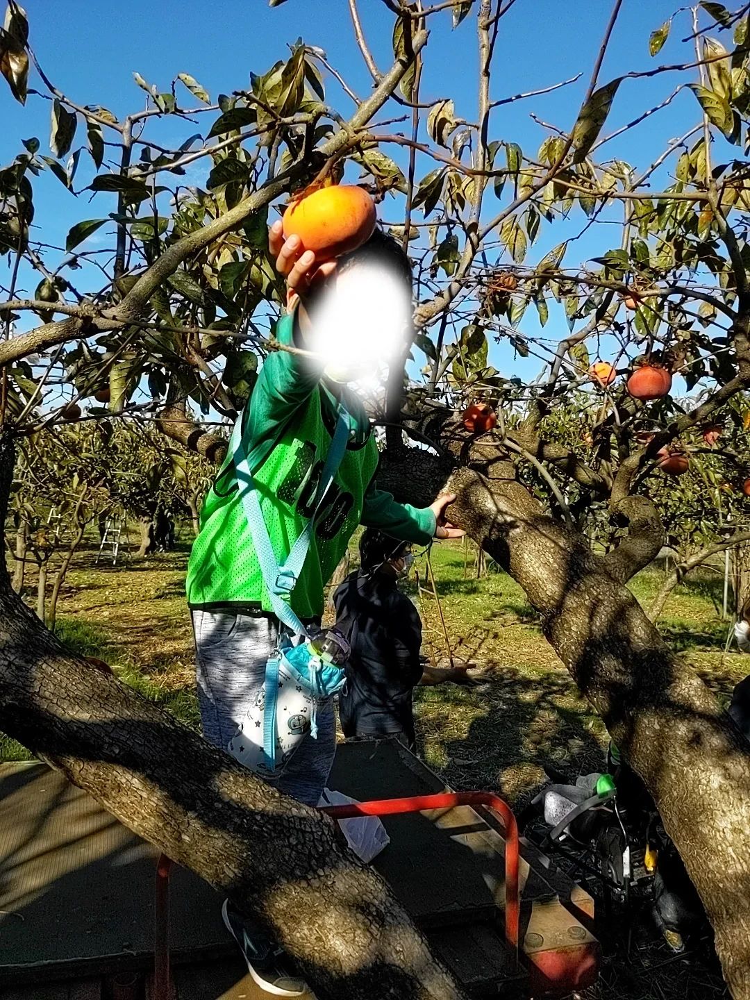 放課後デイサービスtoiro二俣川のサムネイル画像 5