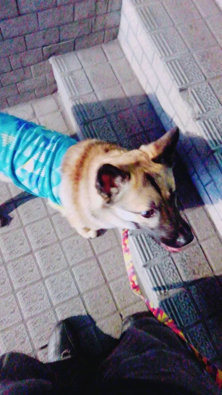 椿音楽教室 ギター Z studio-M4のサムネイル画像 4