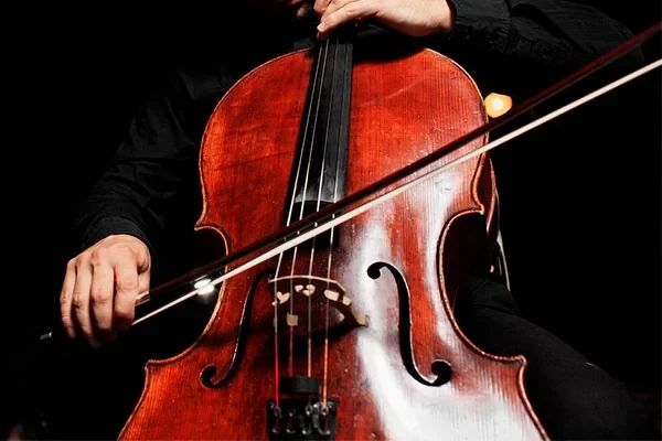 松戸ピアノ・バイオリン教室 ヴァイオリン 上本郷教室のサムネイル画像 2