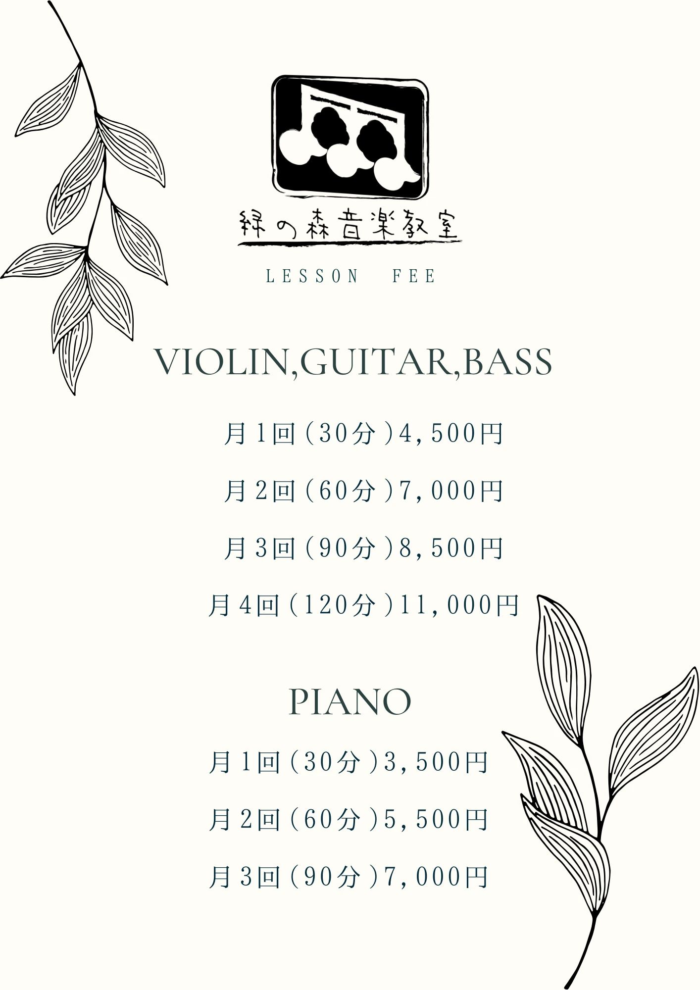 緑の森音楽教室 ヴァイオリン 丸山町教室のサムネイル画像 3