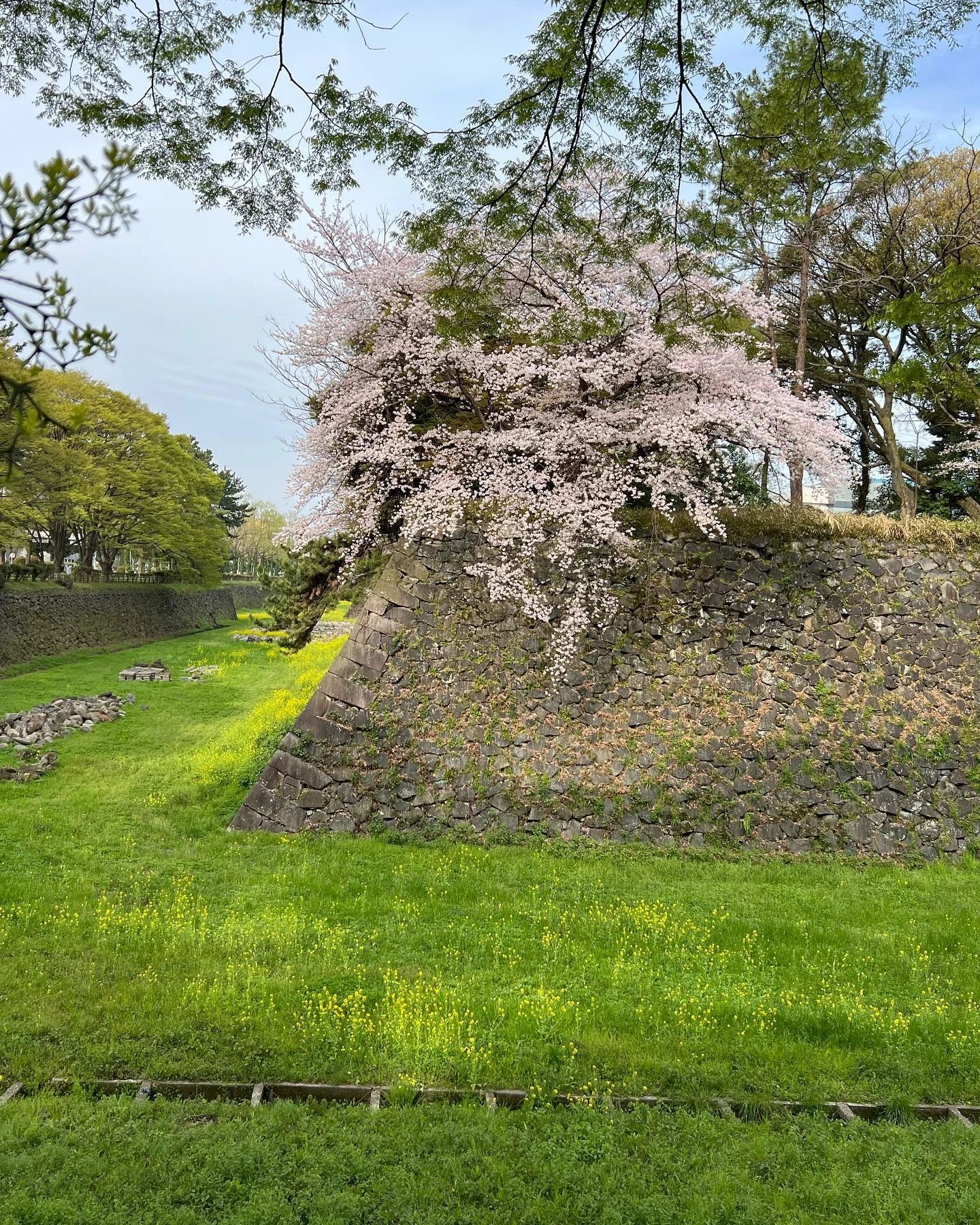 とうかい音楽教室 ヴァイオリン 篠の風教室のサムネイル画像 3