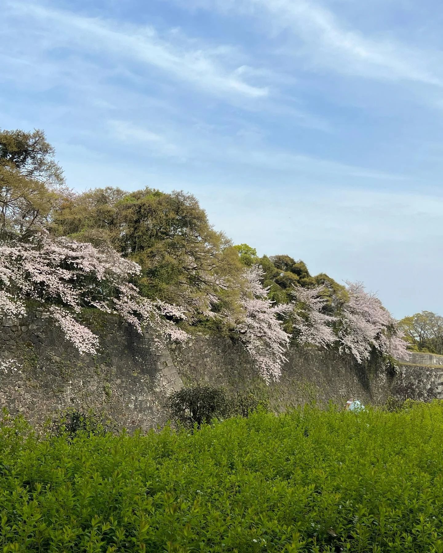 とうかい音楽教室 ヴァイオリン 篠の風教室のサムネイル画像 5