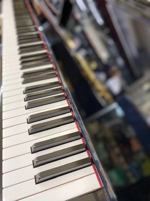 坂野楽器 ヴァイオリン 浅野馬東教室のメイン画像