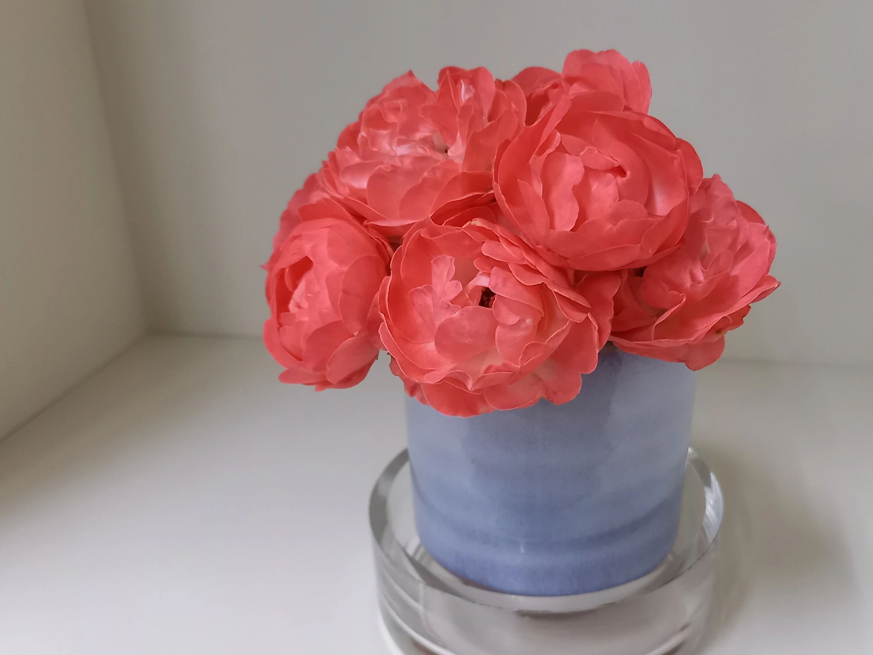 ハセガワ楽器 ヴァイオリン 一宮センター教室のメイン画像