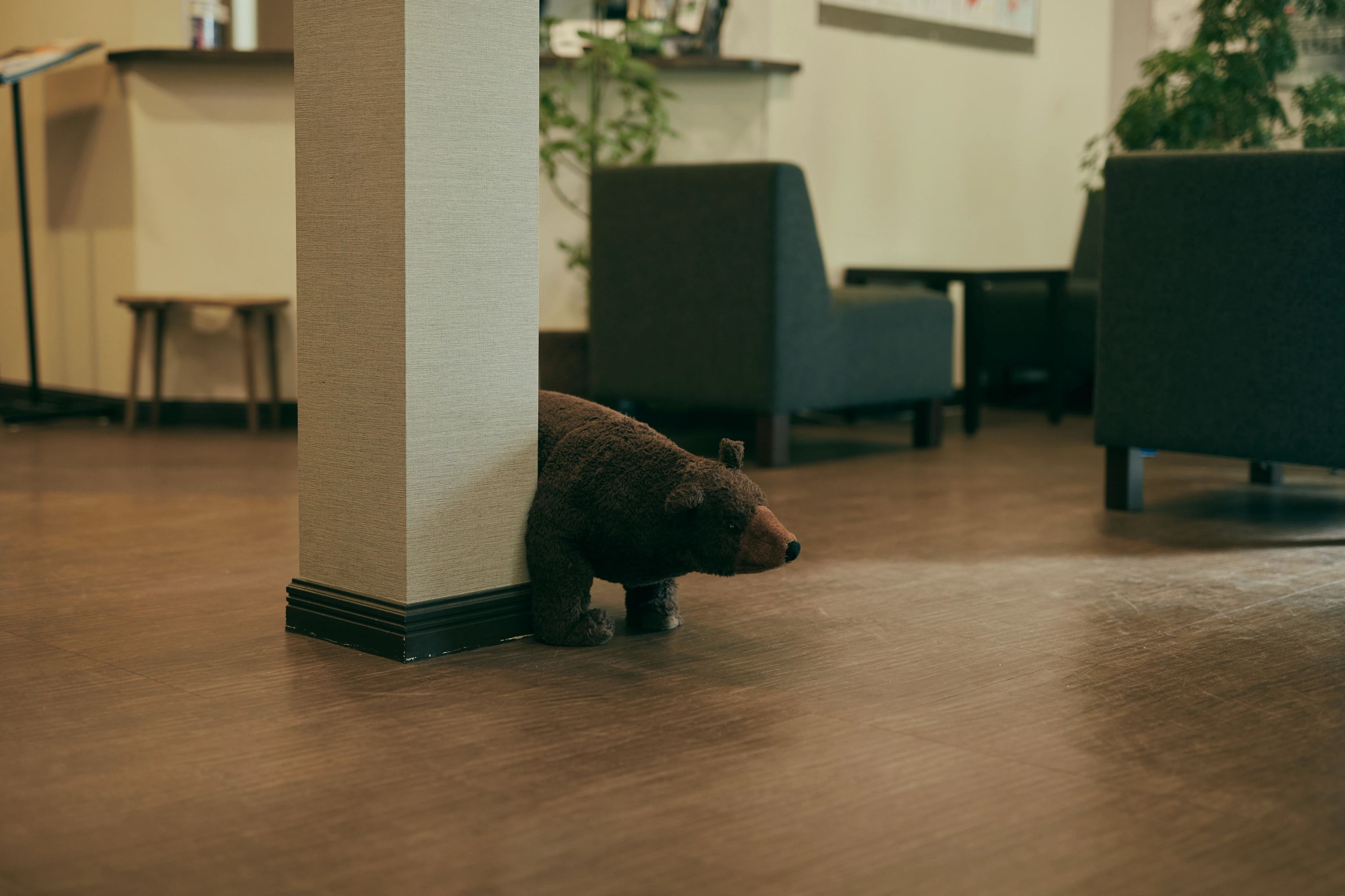 パピーミュージックスクール バイオリン 岡崎大西教室のサムネイル画像 5