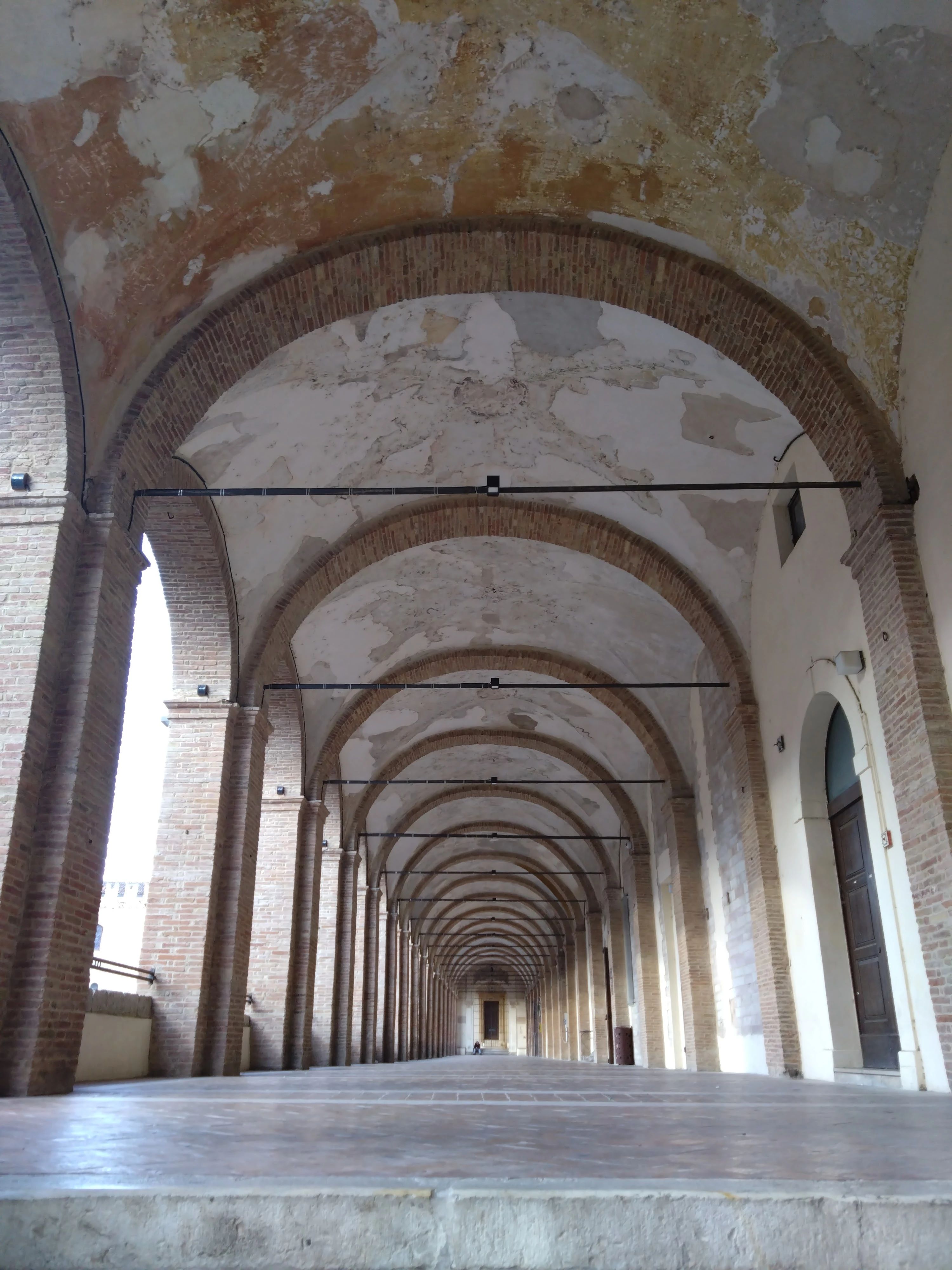 ムジカ ラチェトラ ヴァイオリン 中崎西教室のサムネイル画像 2