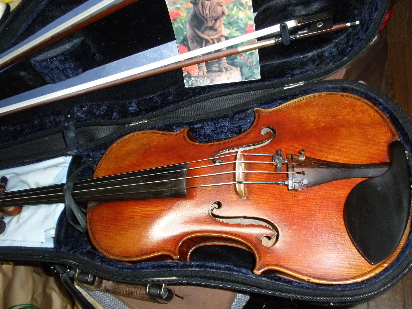 バイオリン ビオラ レッスン ブリリオ 大阪市福島区のメイン画像