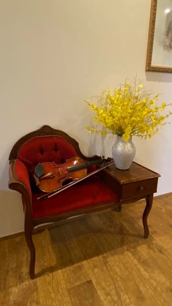 秋谷ミュージックアート ヴァイオリン 仁川北教室のサムネイル画像 4