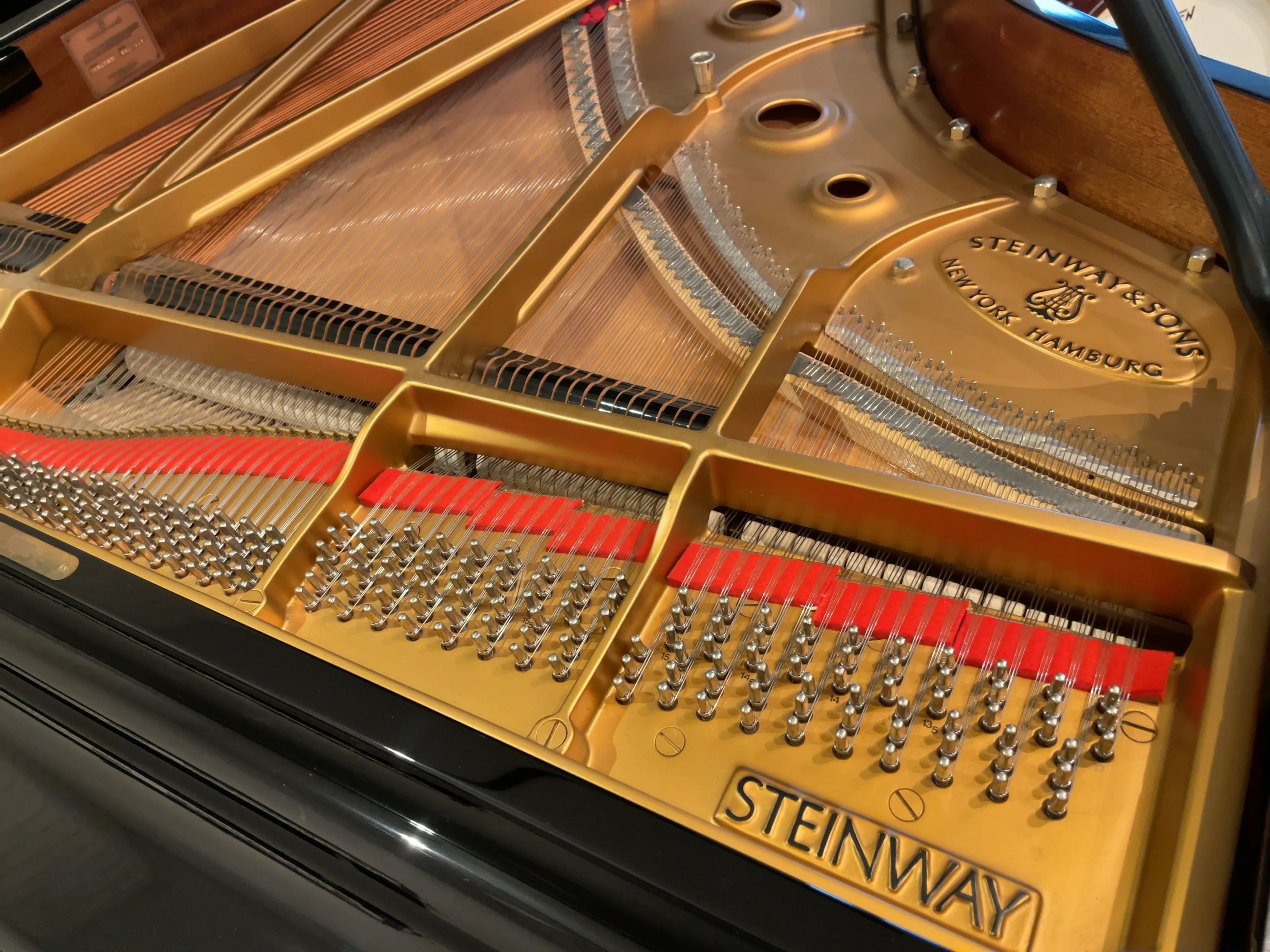 zing music lab ヴァイオリン 本庄町教室のサムネイル画像 3