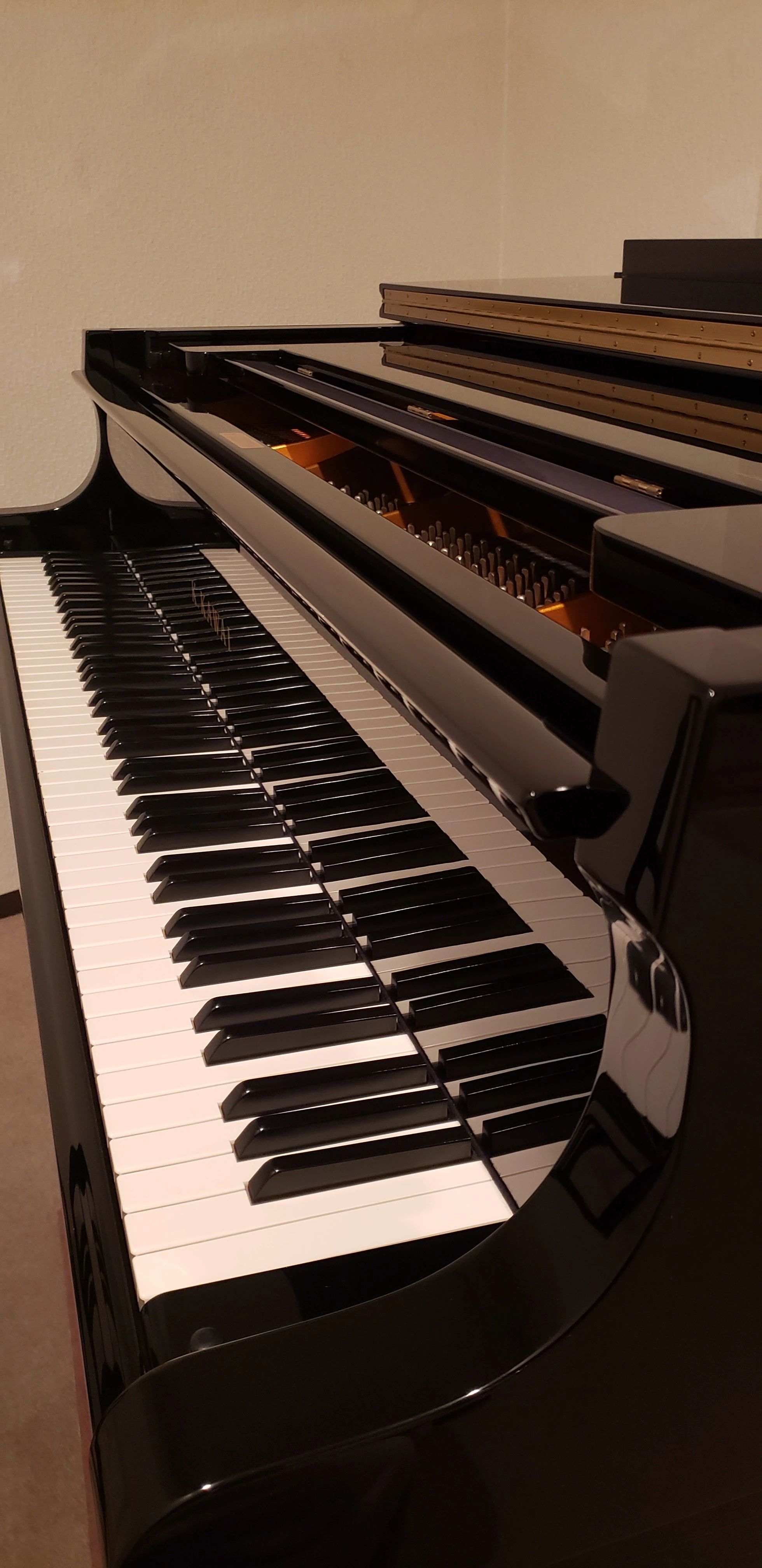 宝塚エジュケーションクラブ ヴァイオリン 梅野町教室のサムネイル画像 3