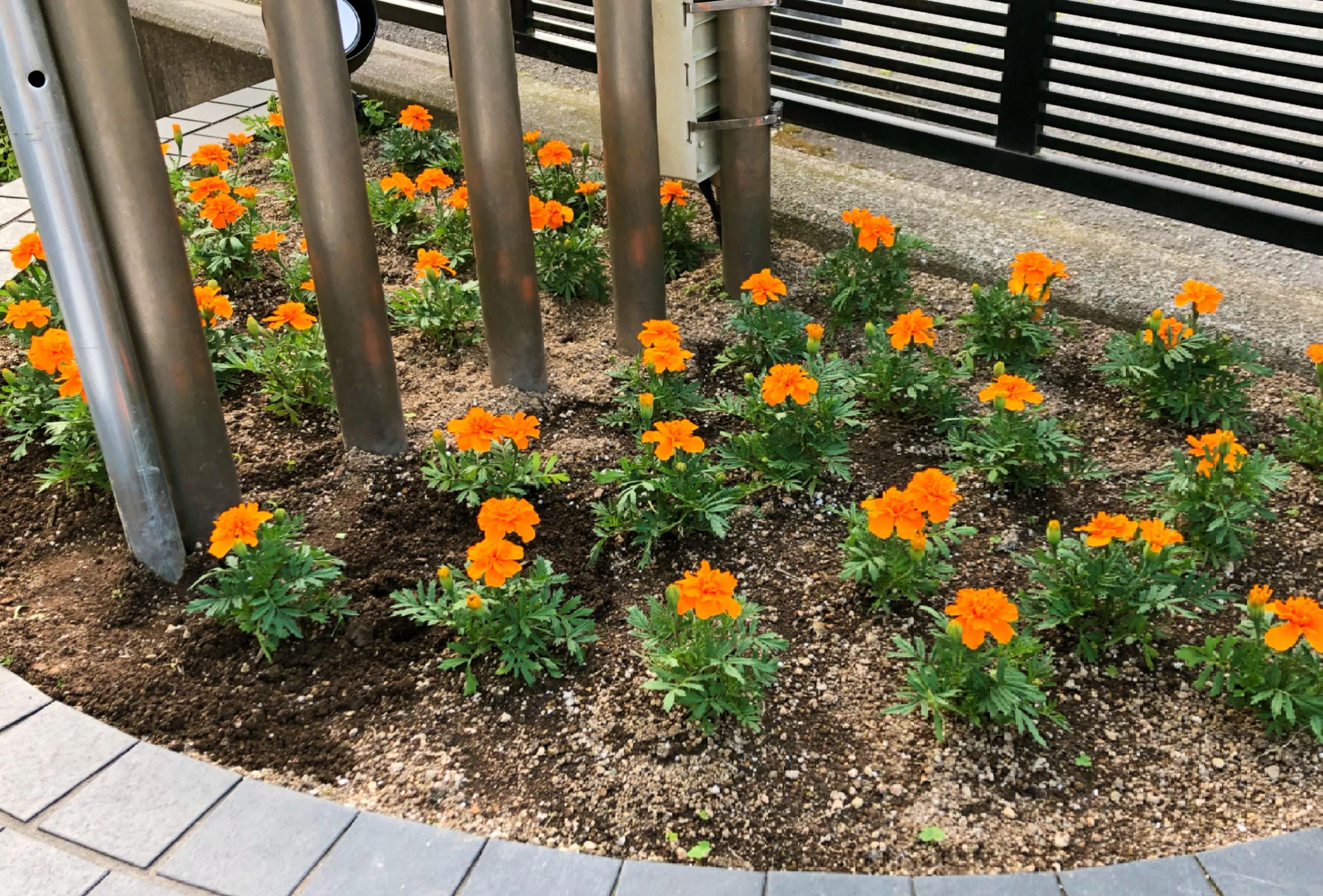 豊岡教育音楽学院 ヴァイオリン 和田山教室のメイン画像