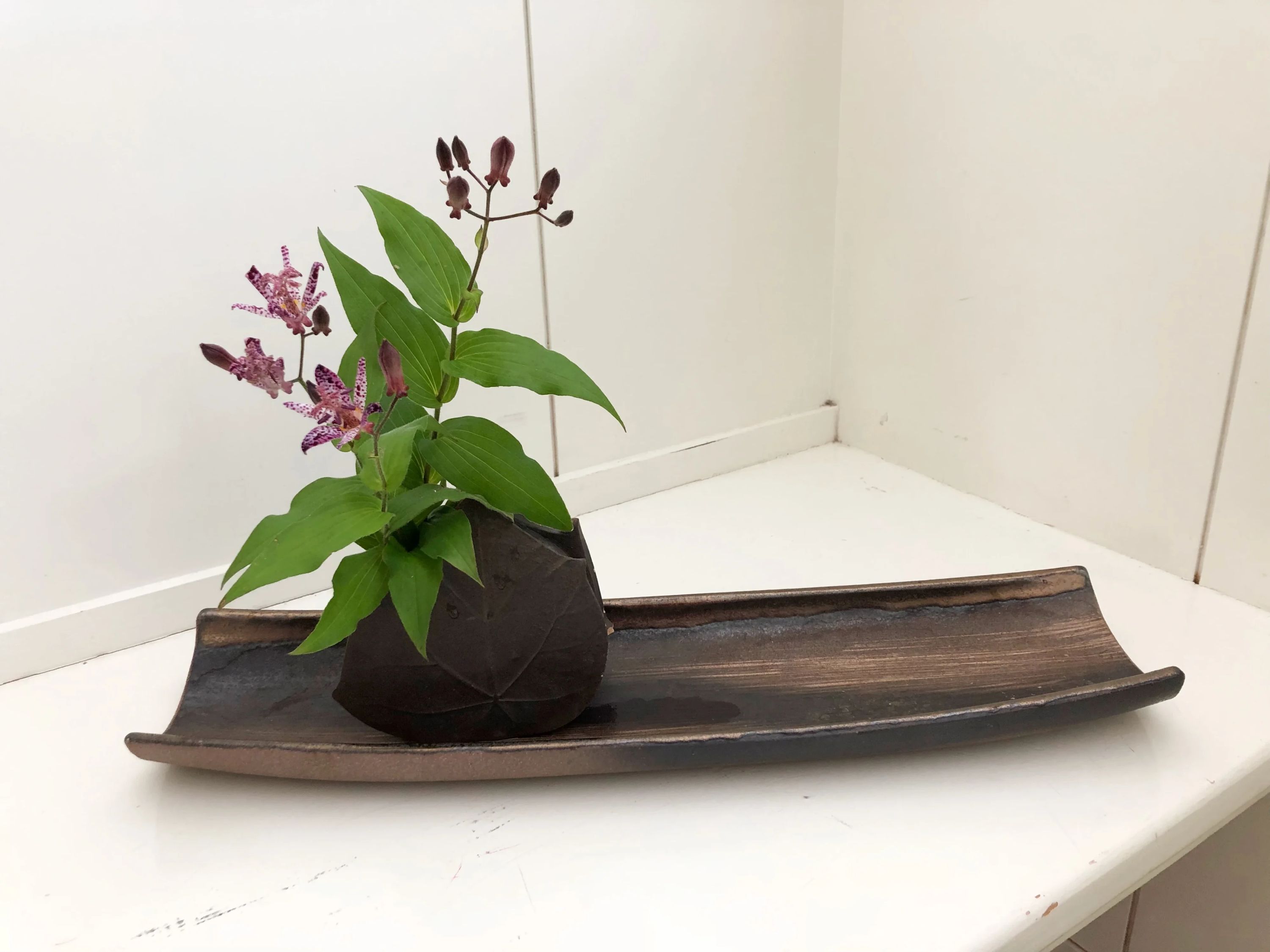 豊岡教育音楽学院 ヴァイオリン 和田山教室のサムネイル画像 4