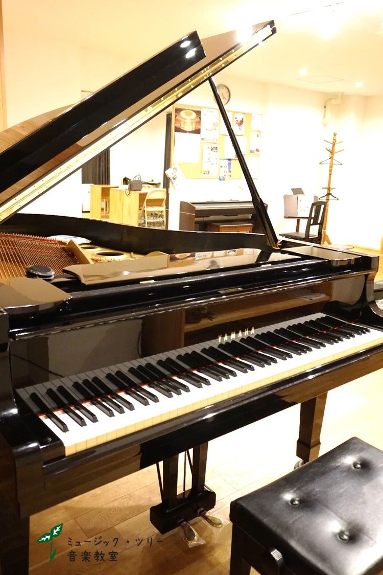 ミュージック・ツリー音楽教室 ヴァイオリン 耳成教室のサムネイル画像 5