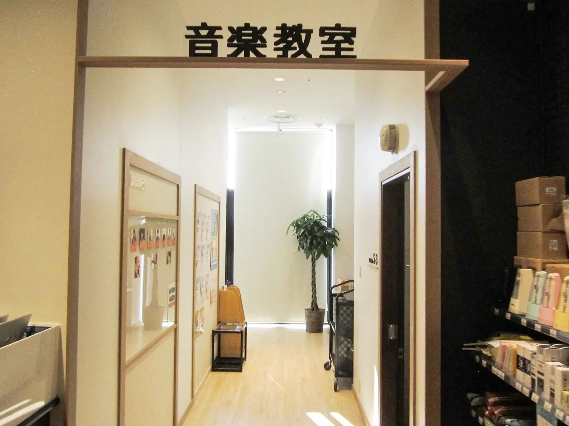 島村楽器 ヴァイオリン THE OUTLETS HIROSHIMA店のサムネイル画像 2