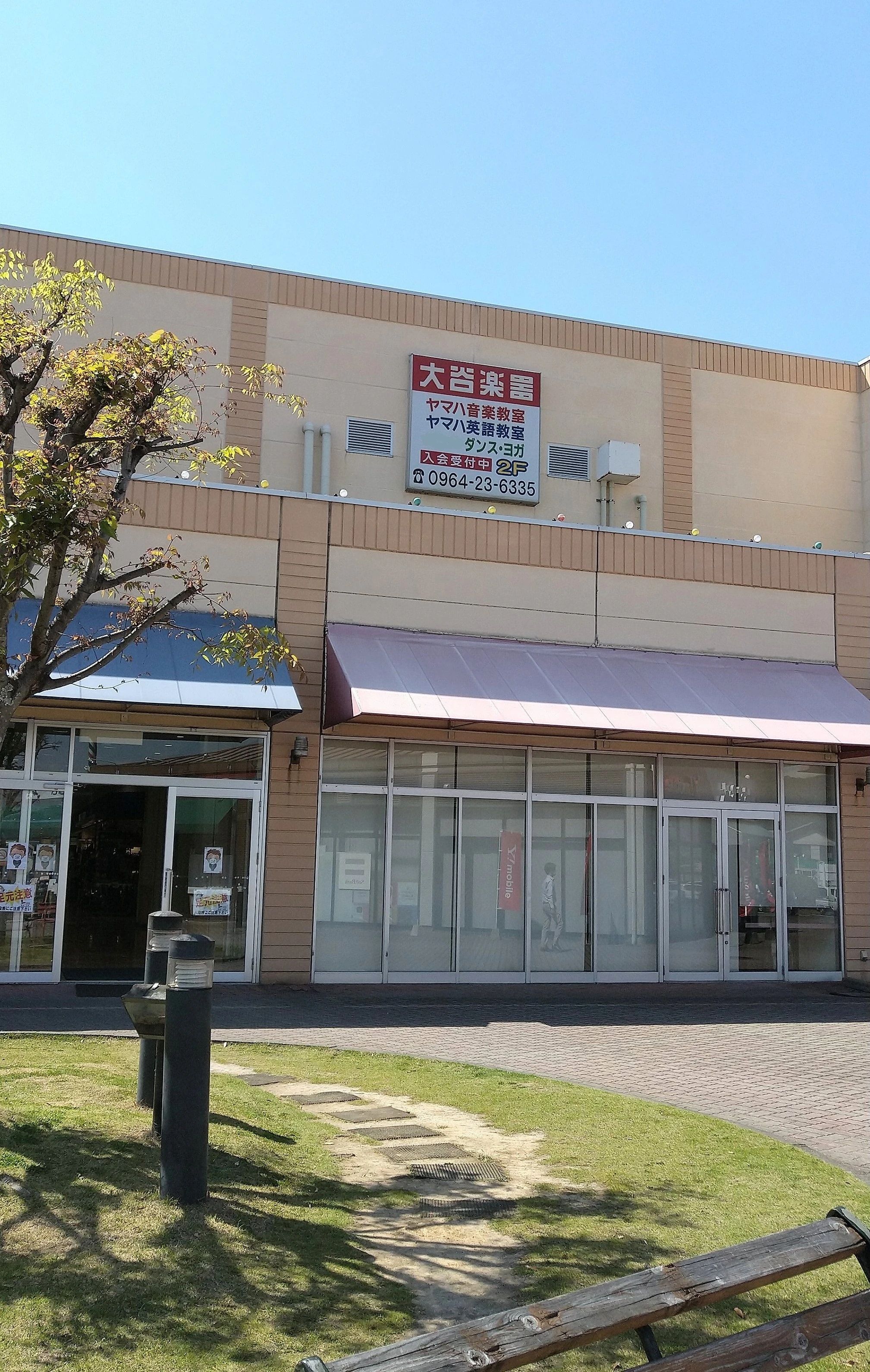 大谷楽器 ヴァイオリン 宇土シティ教室のサムネイル画像 3