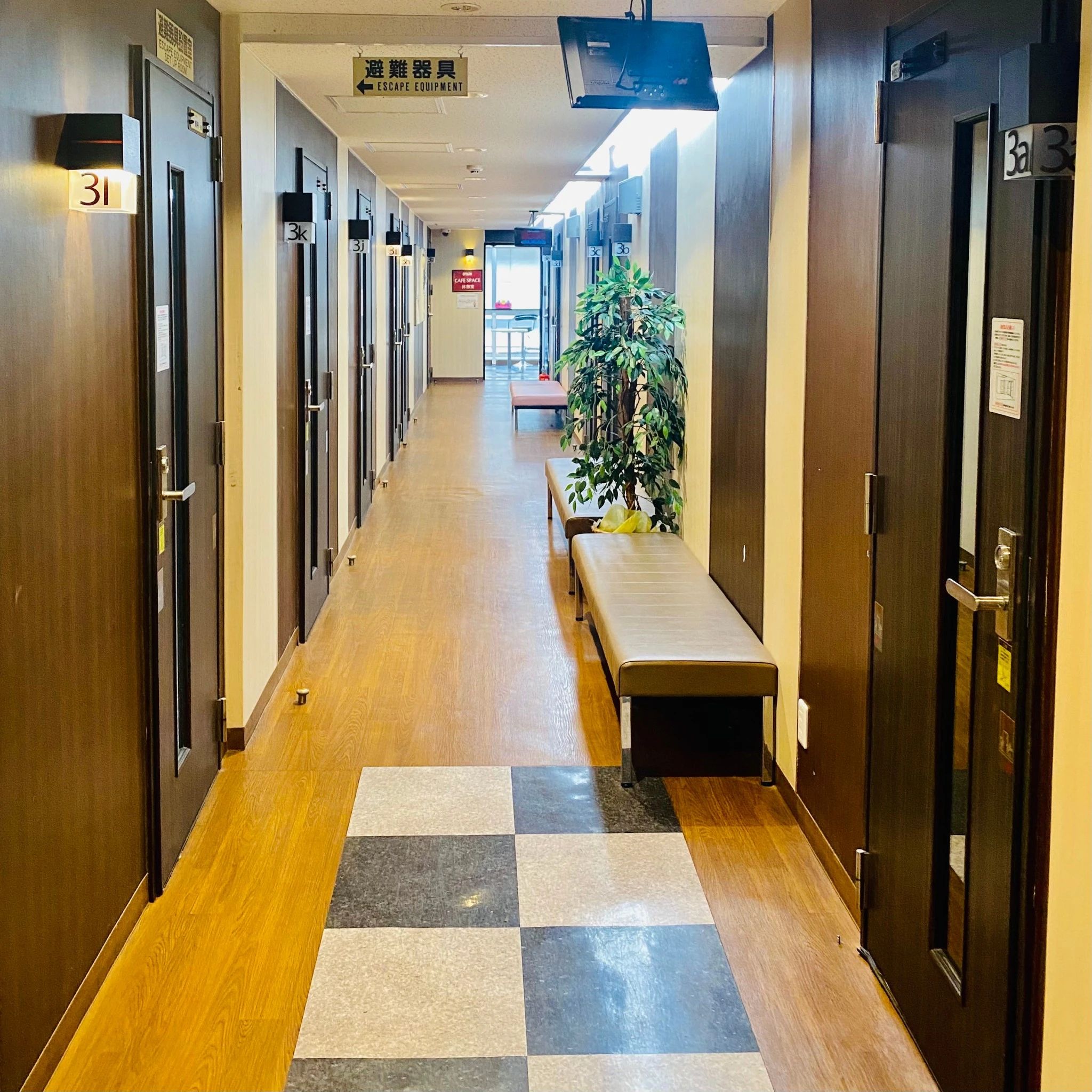 大谷楽器 ヴァイオリン 上通センターのサムネイル画像 2