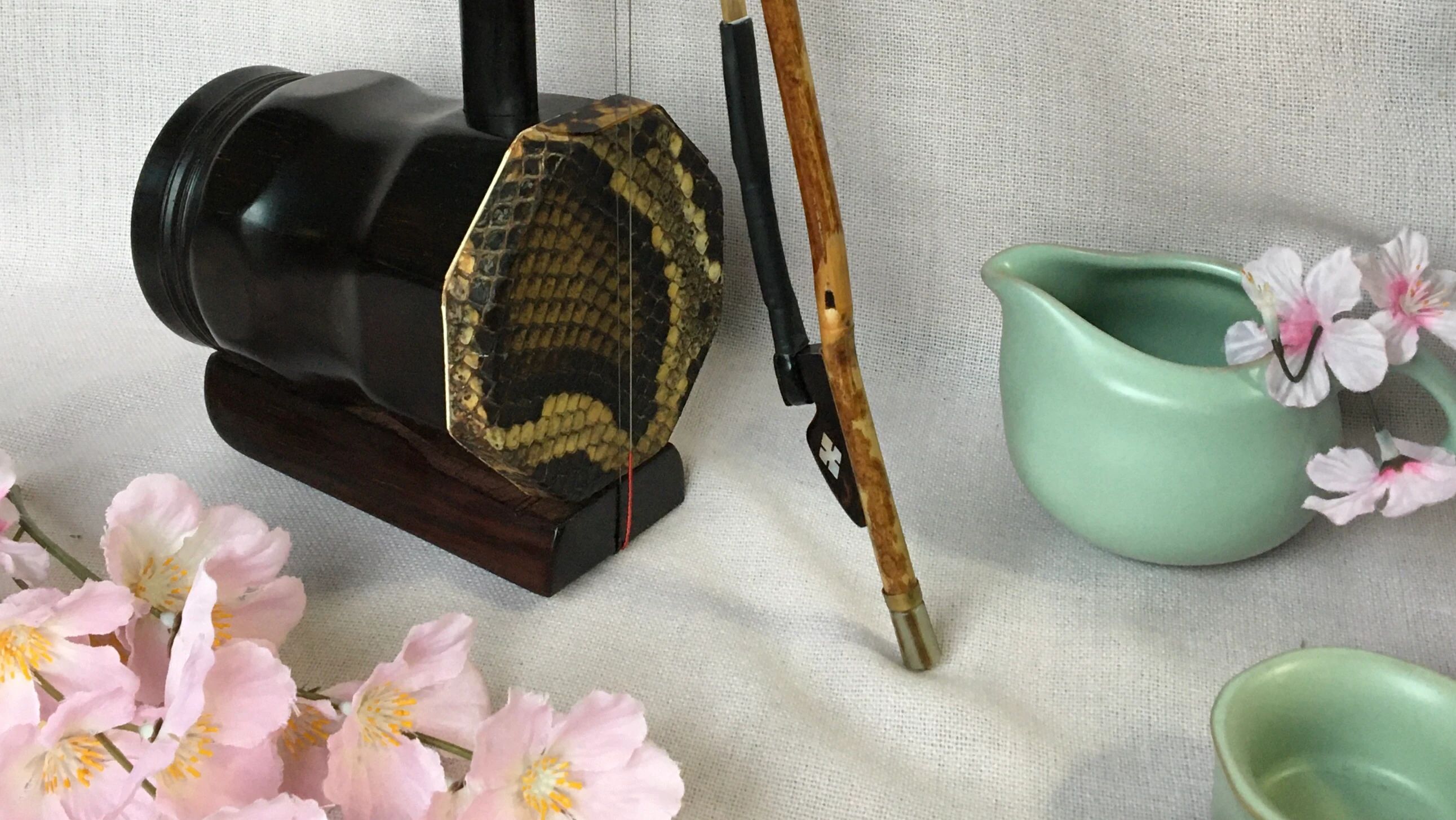 中華二胡学院 二胡 札幌本校のメイン画像