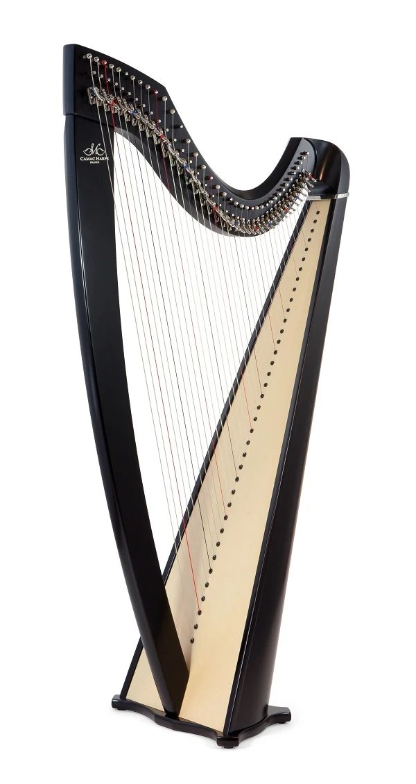 高田ハープサロン ハープ 西麻布教室のメイン画像