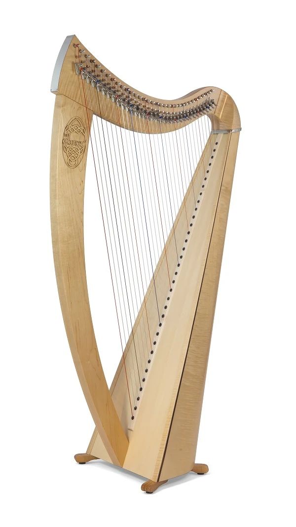 高田ハープサロン ハープ 西麻布教室のサムネイル画像 4