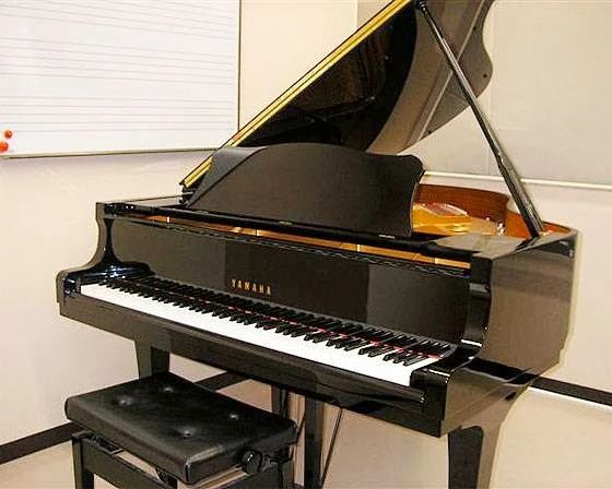 島村楽器 ウクレレ ミュージックサロン新小岩のサムネイル画像 3