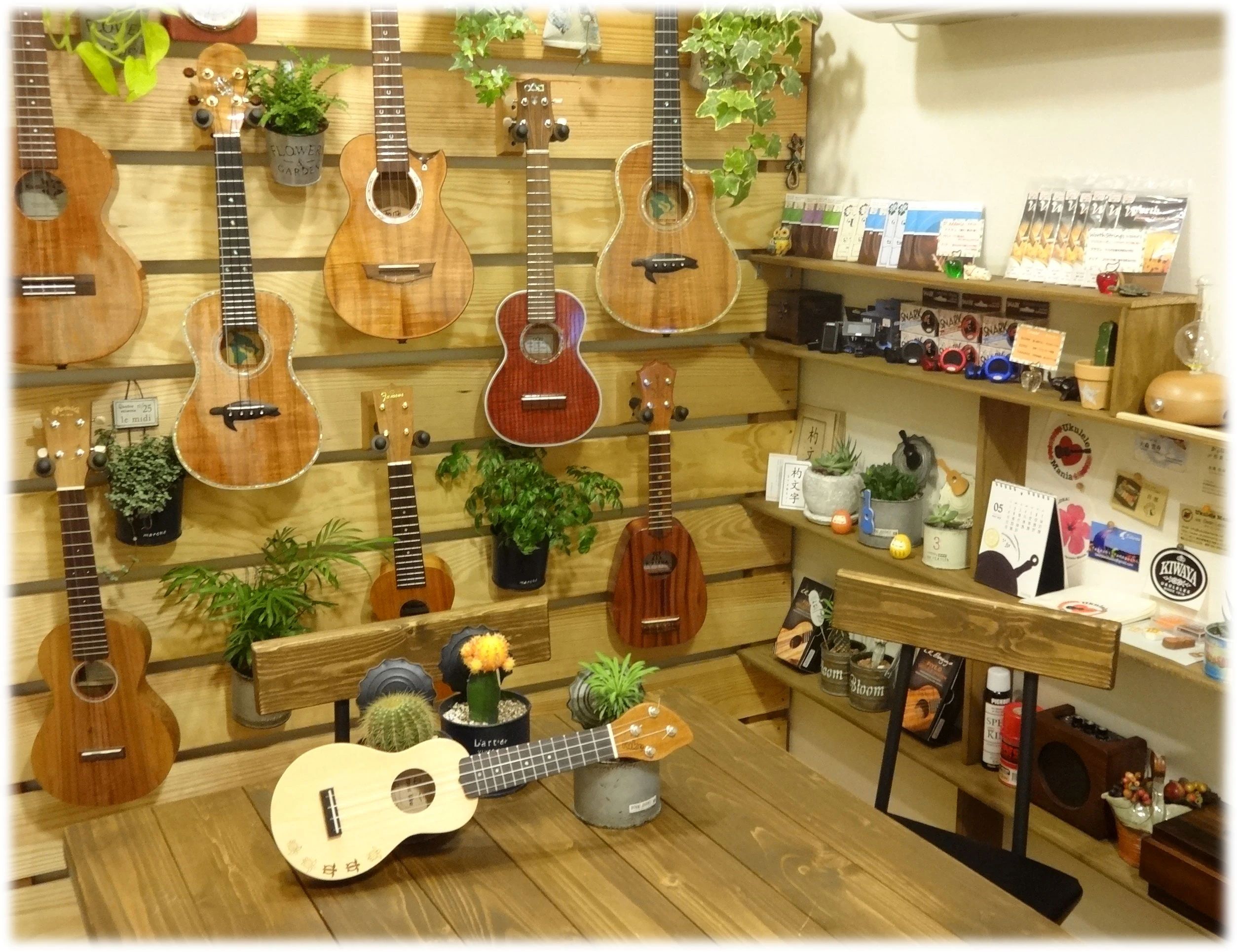 そどみら ウクレレ 豊玉北教室のサムネイル画像 3